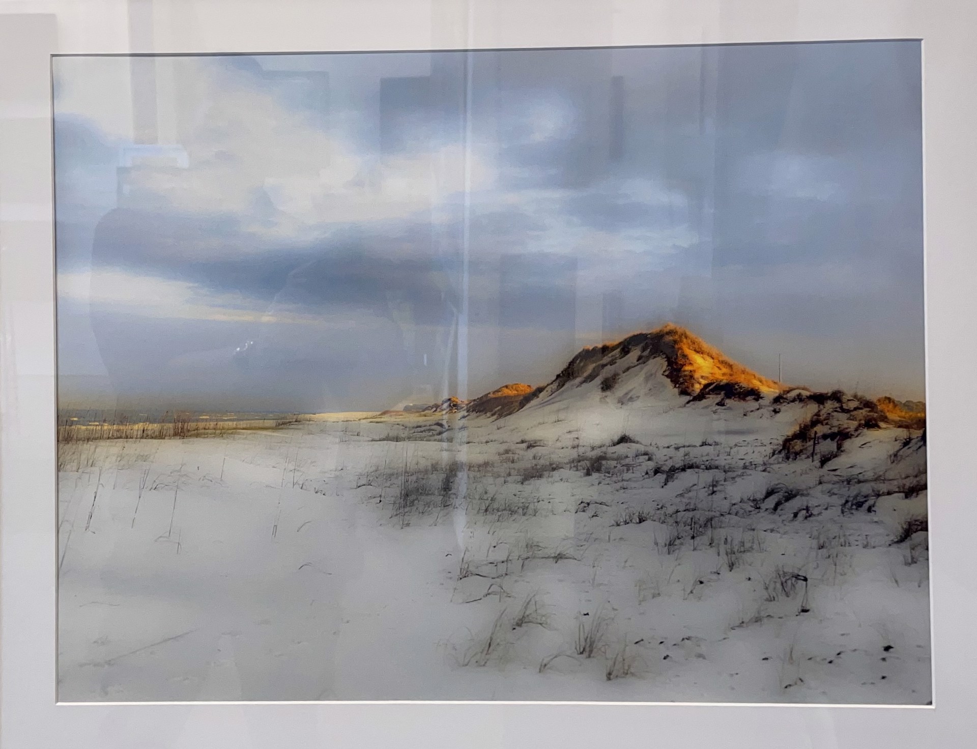 Florida Dunes by Alan Gardner