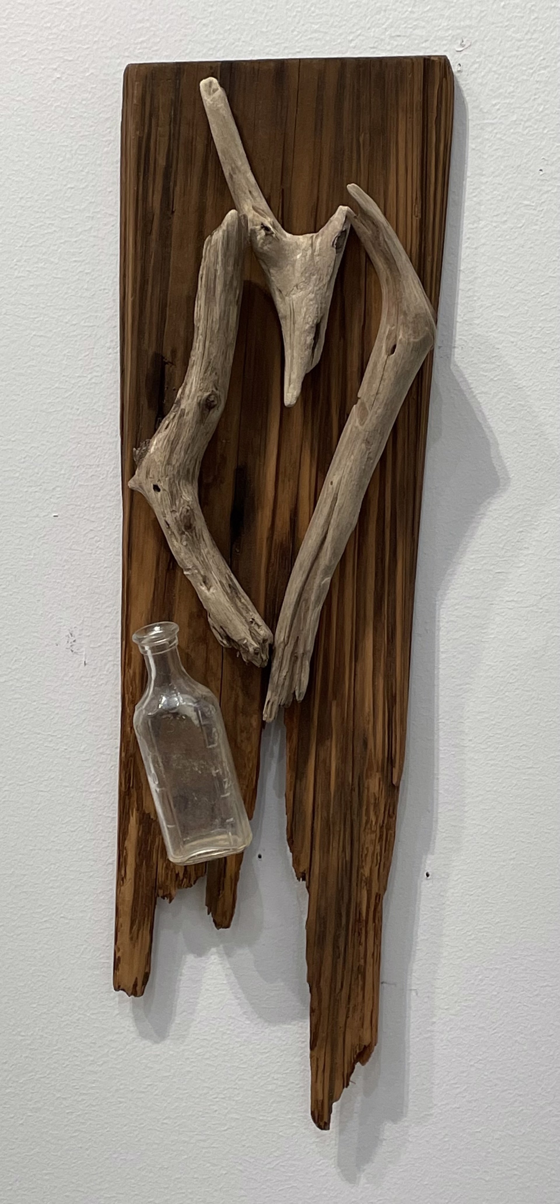 Bottled Love Driftwood Wall Art #1 by Jason Davis