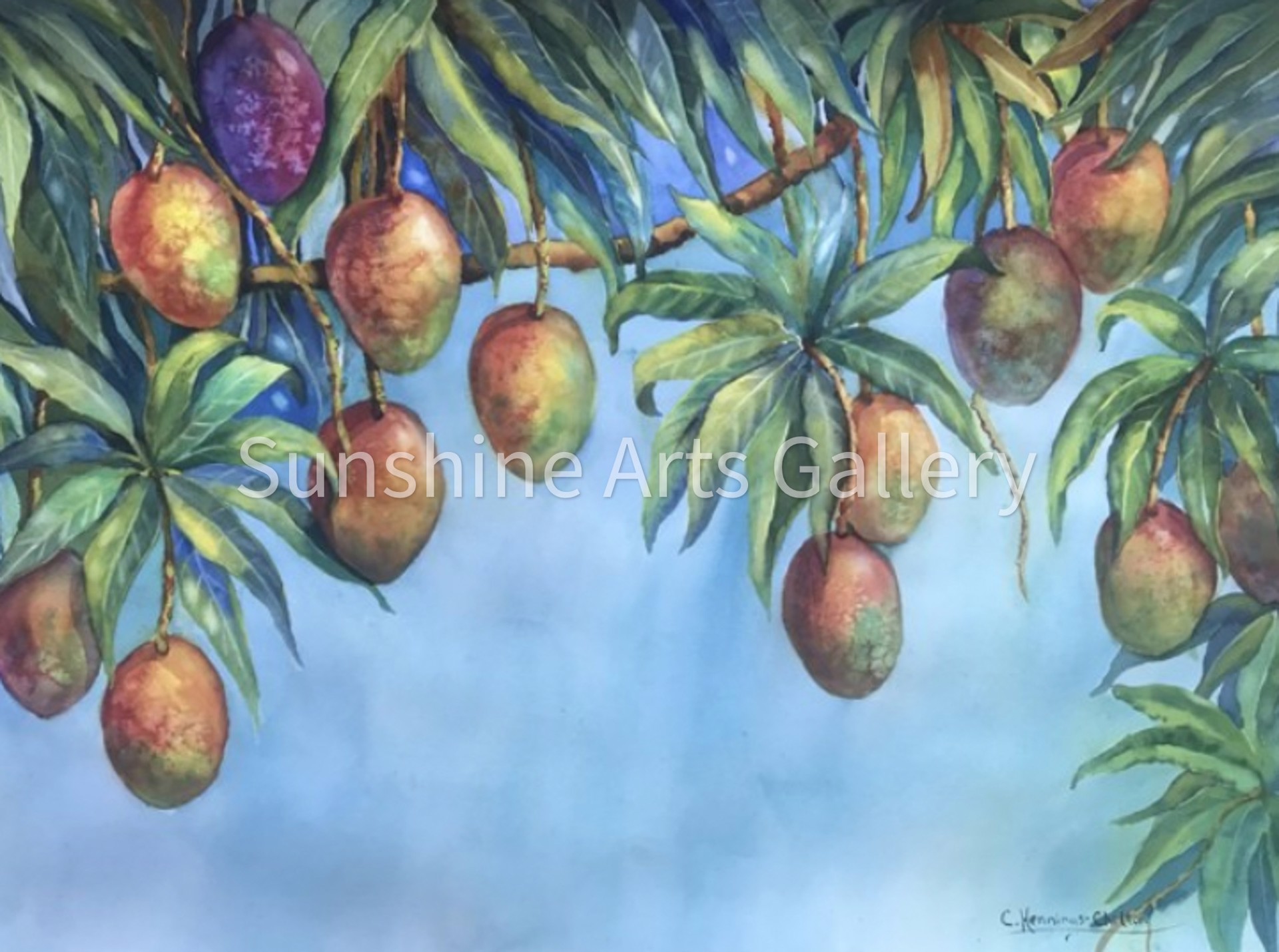 Mango Season by Connie Hennings-Chilton
