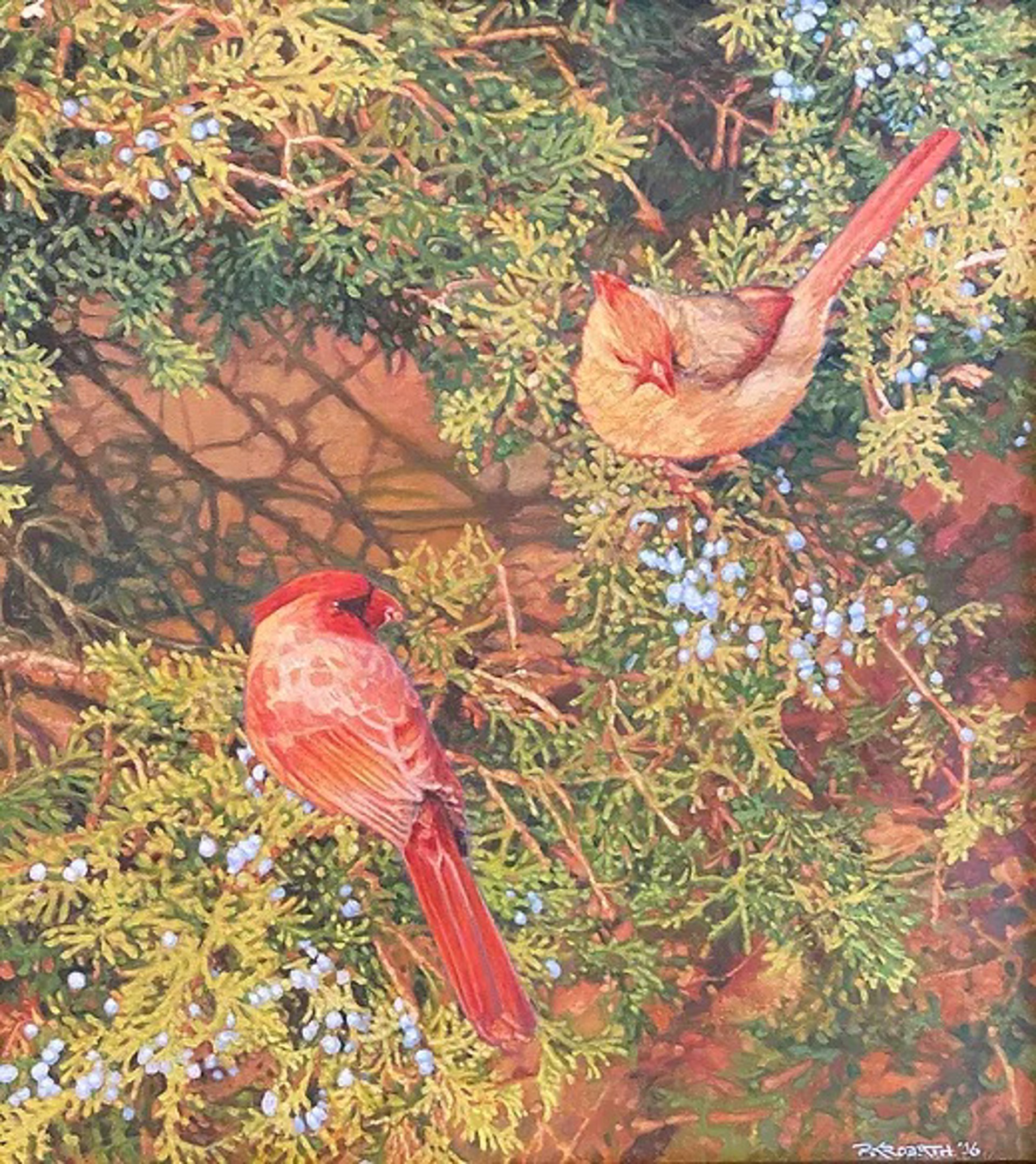 Cardinals by Peter Krobath