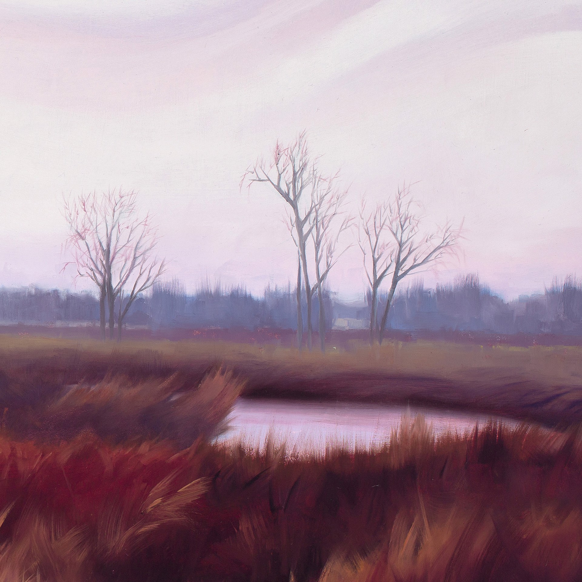 These Waters Are My Sky by Kirsten Savage