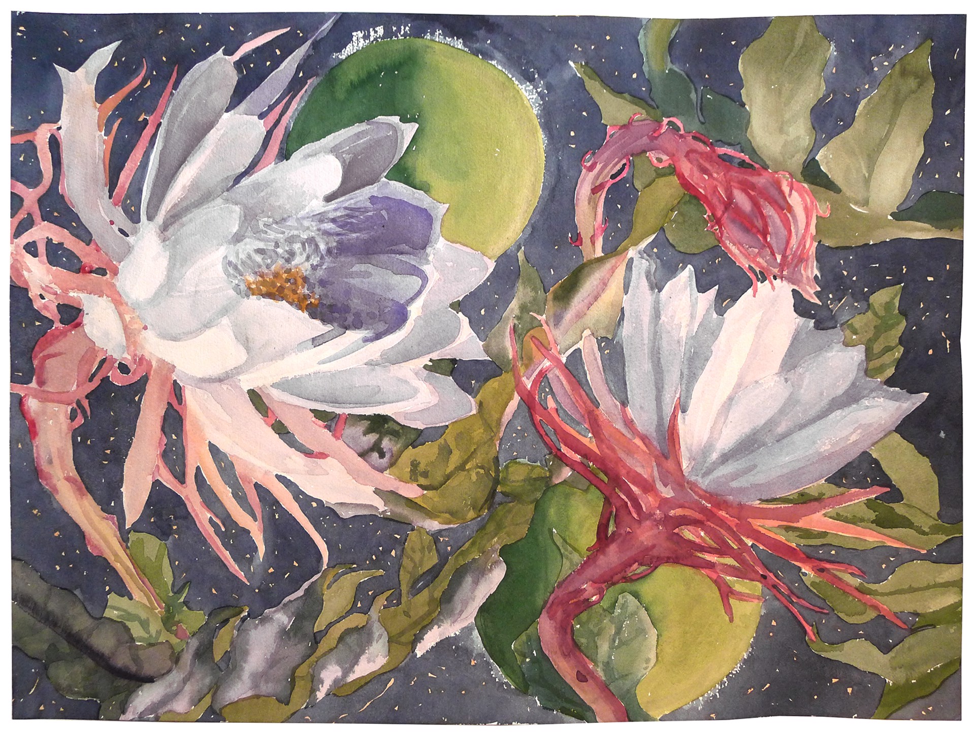 Night Blooming Cereus with Lime Moons by Sheila Gardner