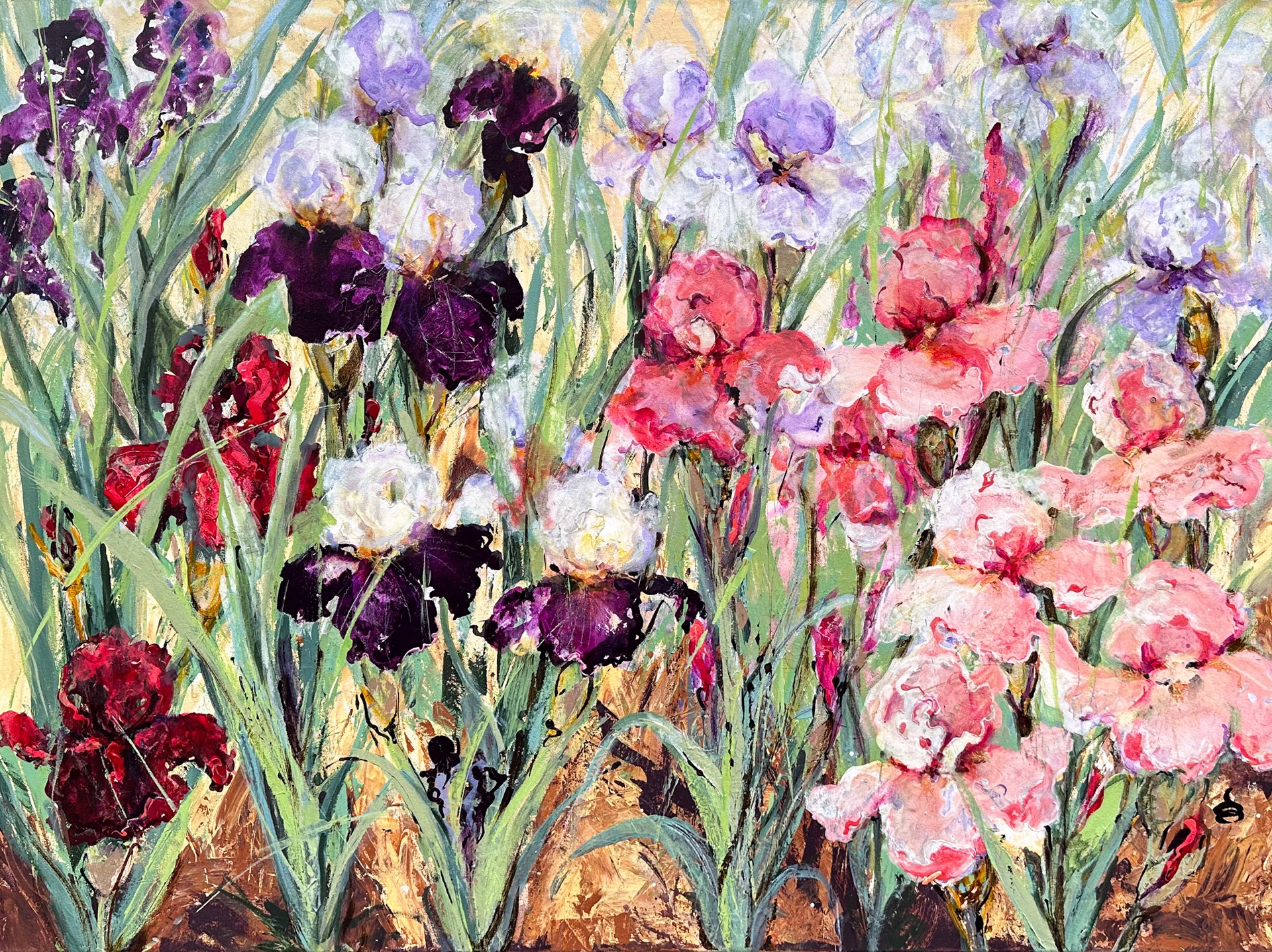 Velvet & Lace, Irises by Dianne Ogg