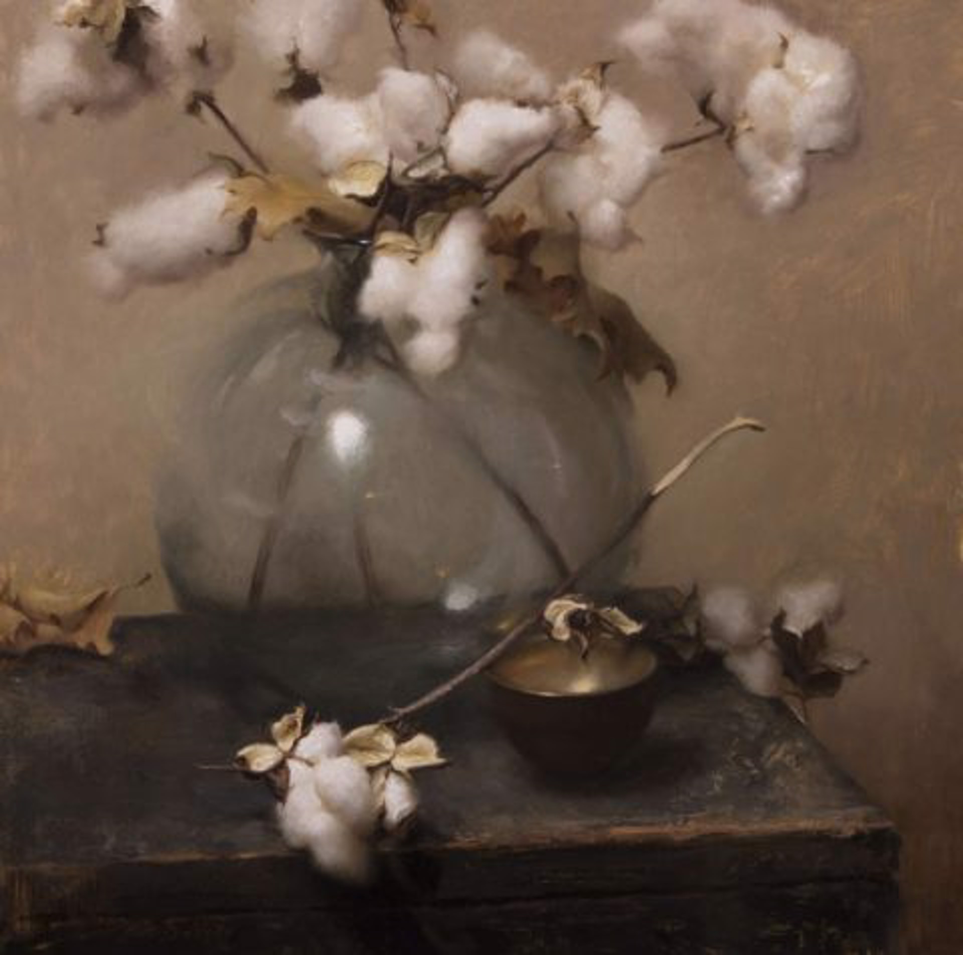 Cotton by Grace DeVito