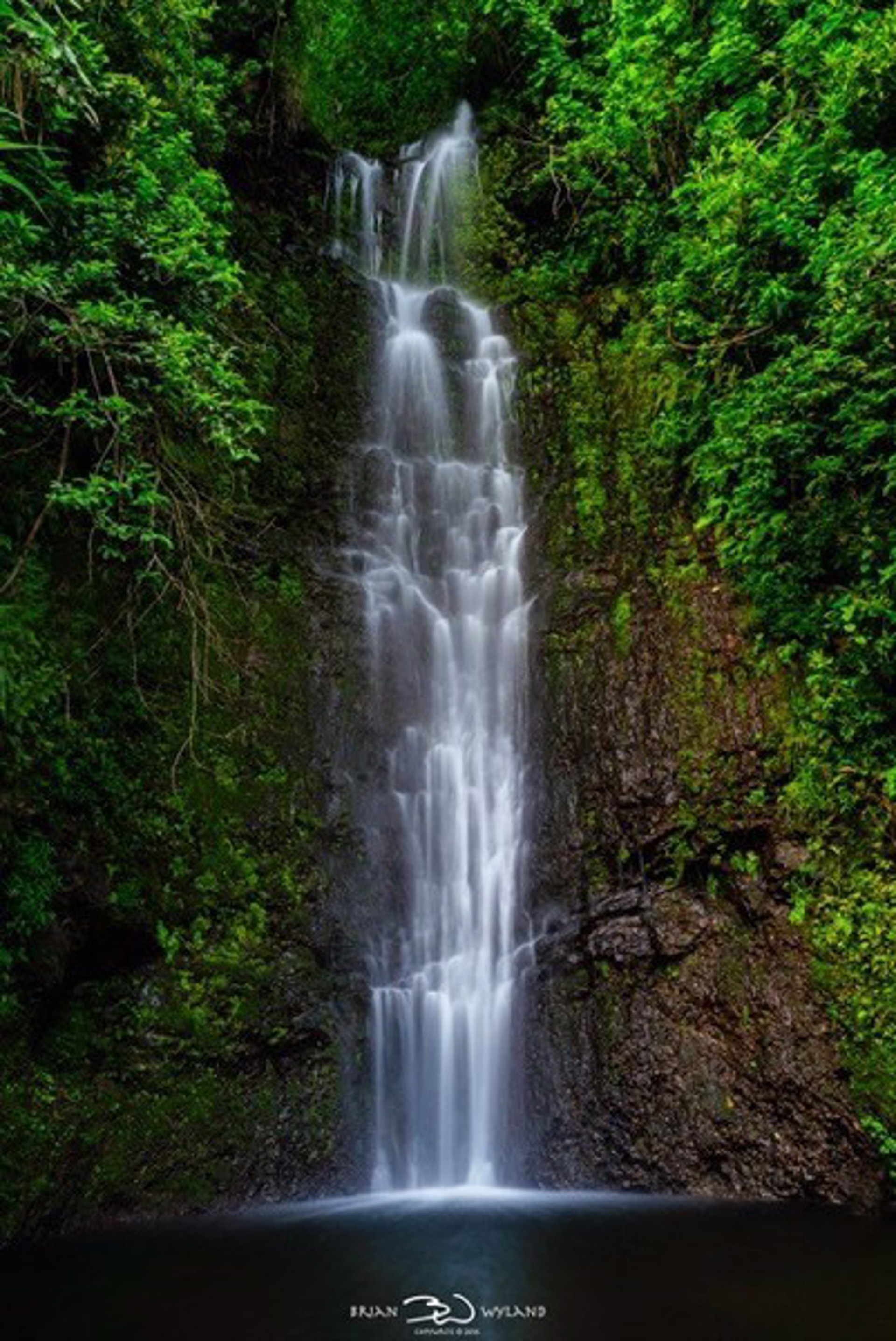 Maui Gem by Brian Wyland