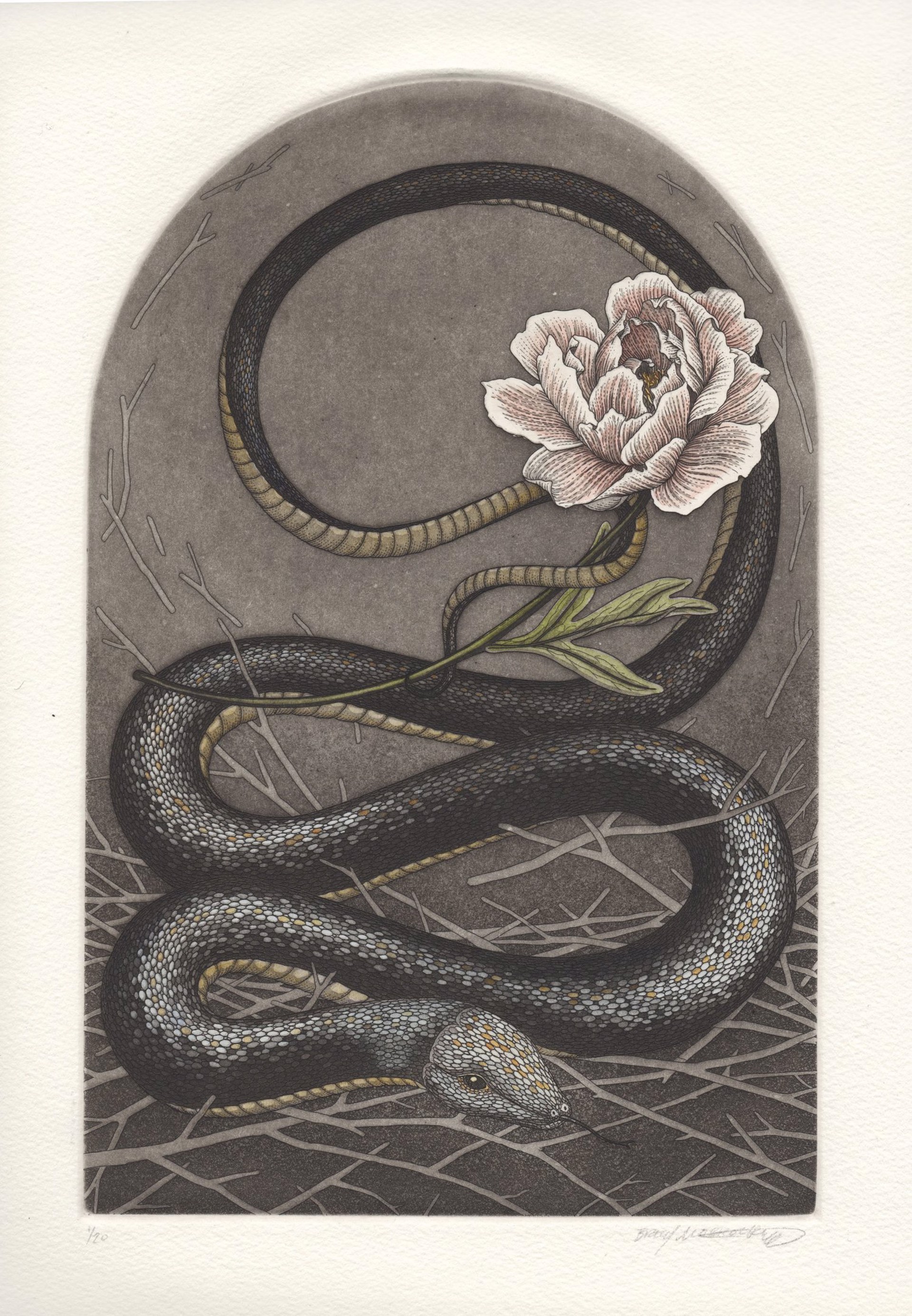 Spirit Animals Alter II: Black Snake by Briony Morrow-Cribbs