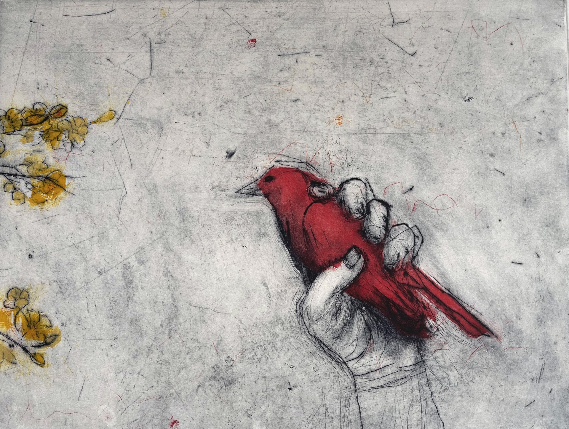 A Bird in My Hand by Paula Schuette Kraemer