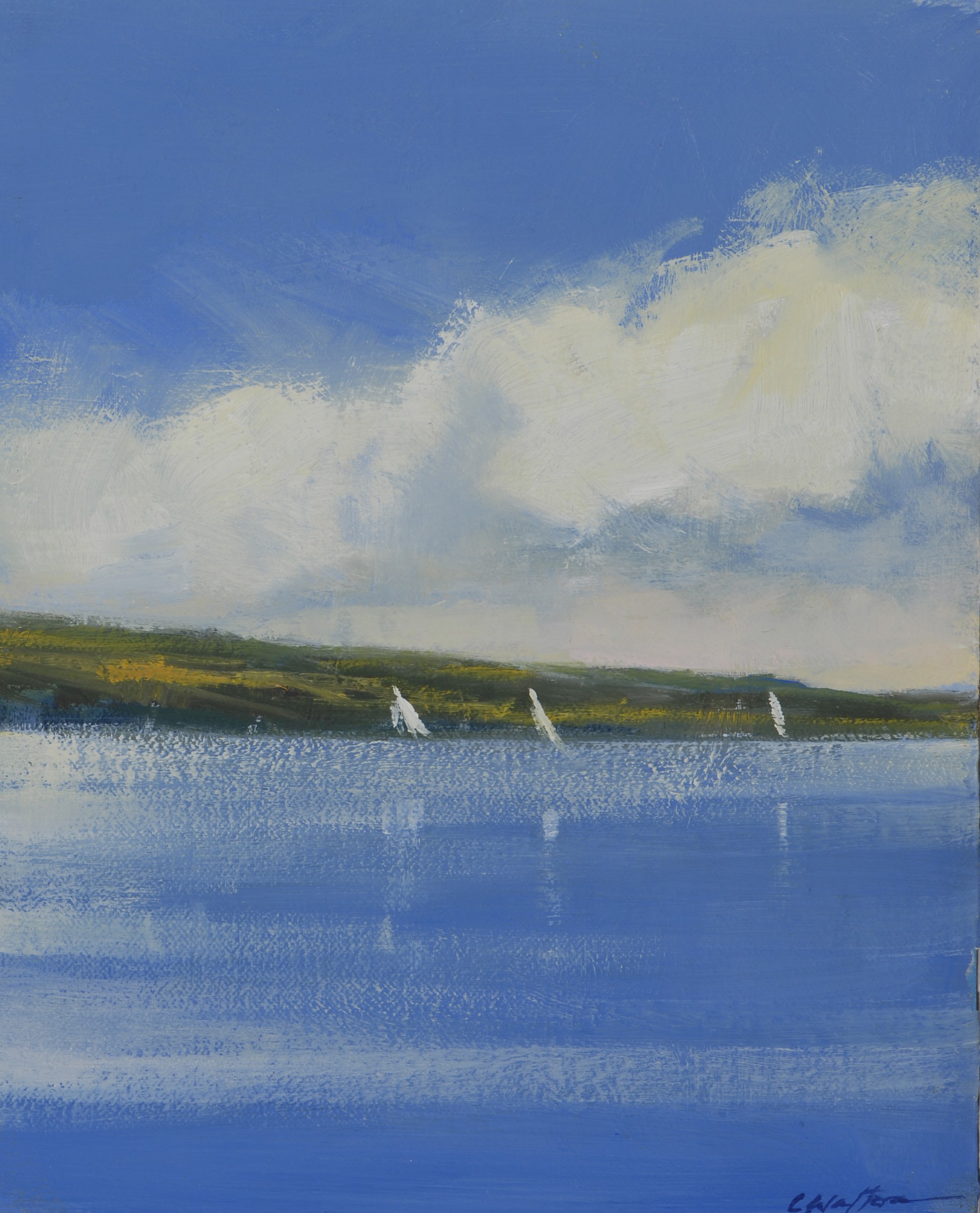 Sailing with the Clouds by Carolyn Walton