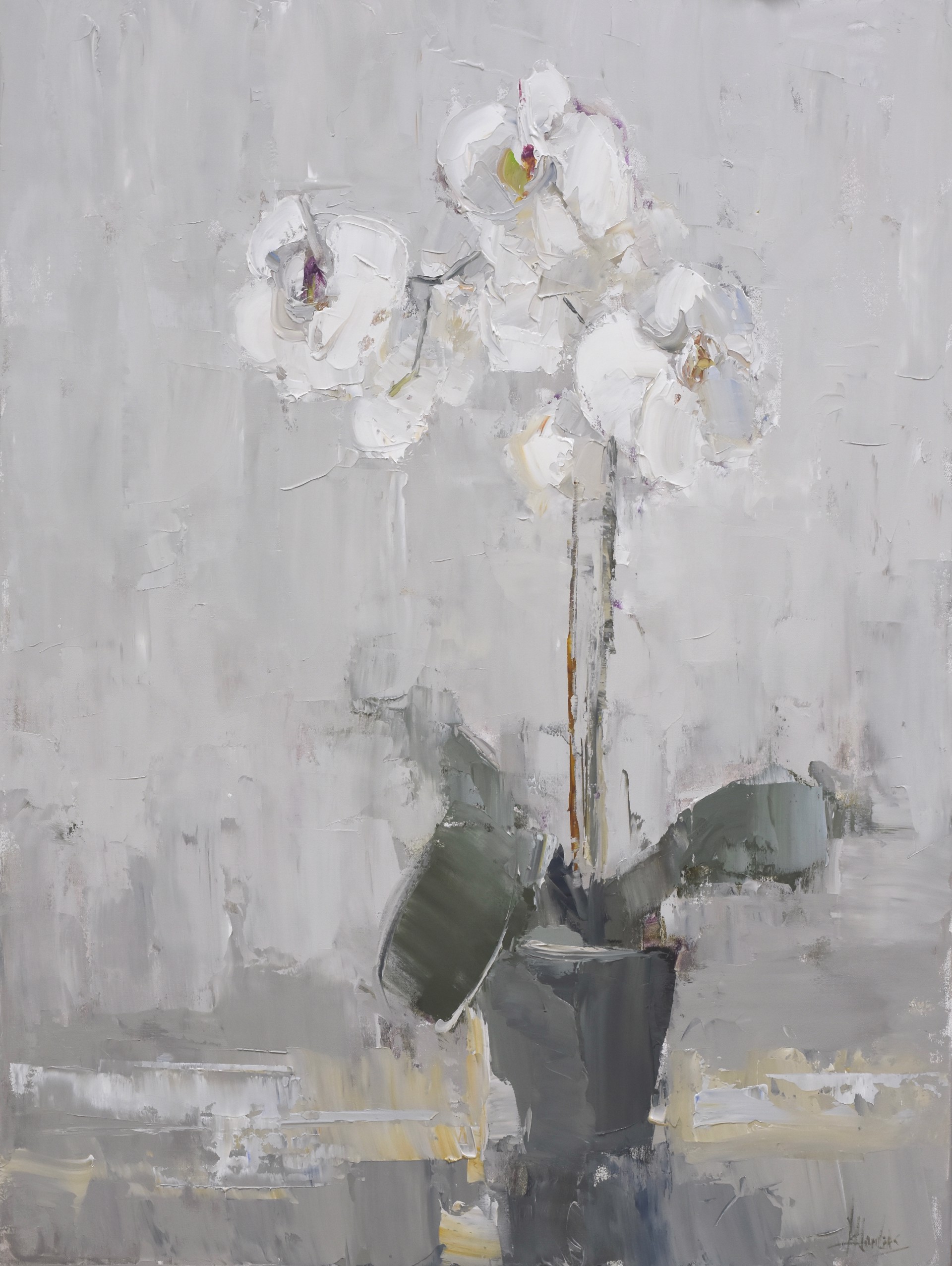Orchid In White Room by Barbara Flowers