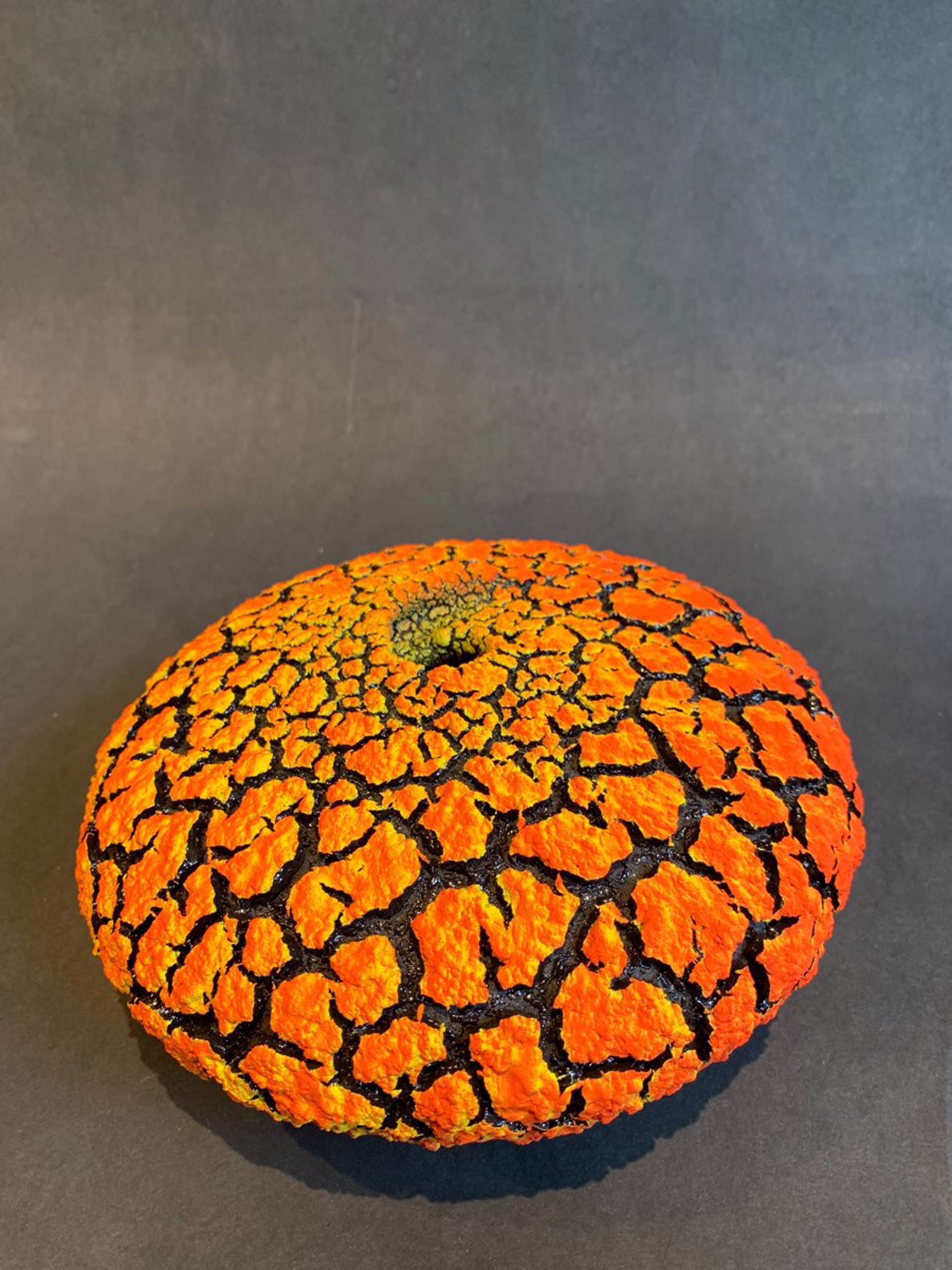 Yellow/Orange Lichen Vessel #134 by Randy O' Brien
