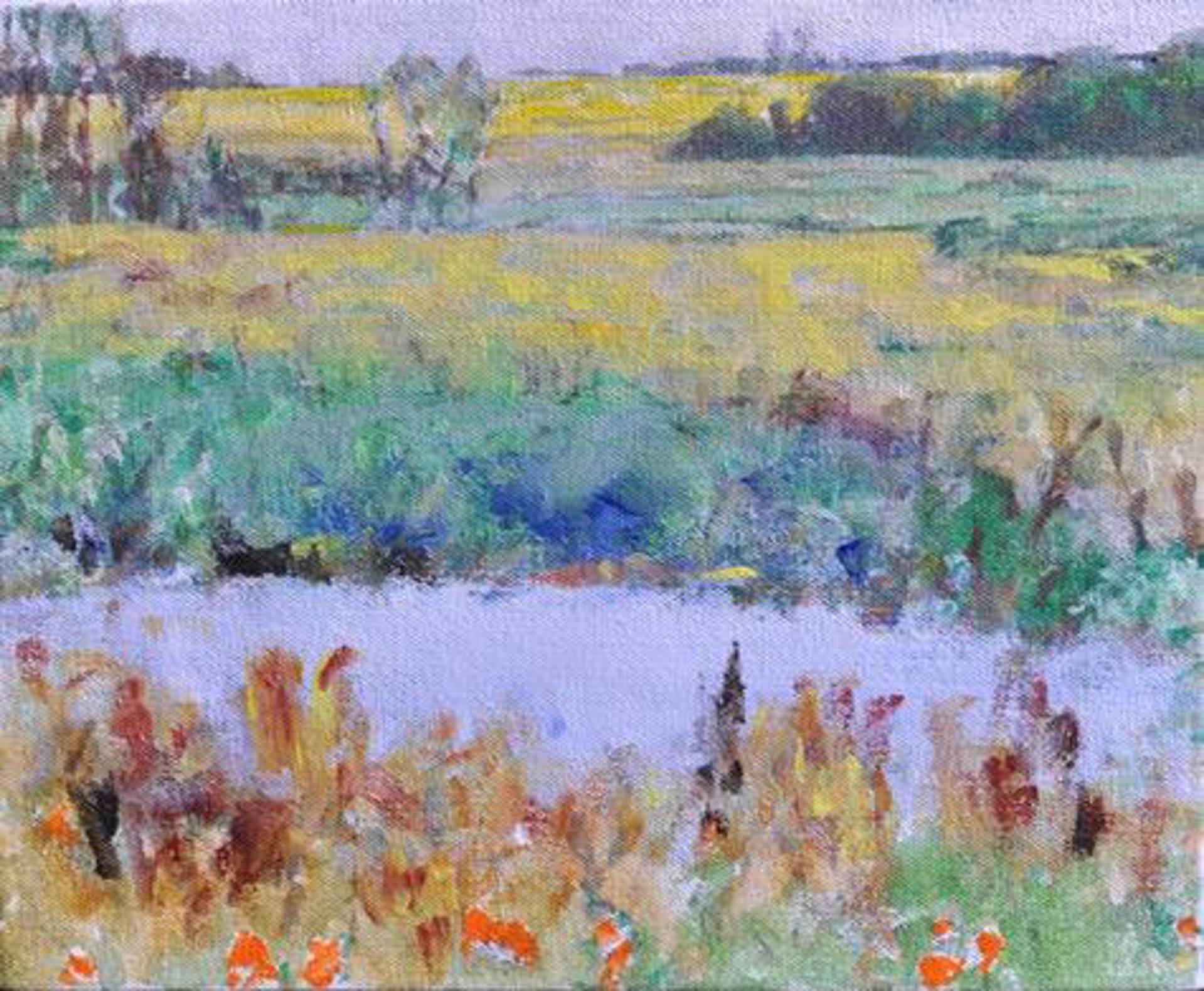 Distant Yellow Field by Dorothy Knowles