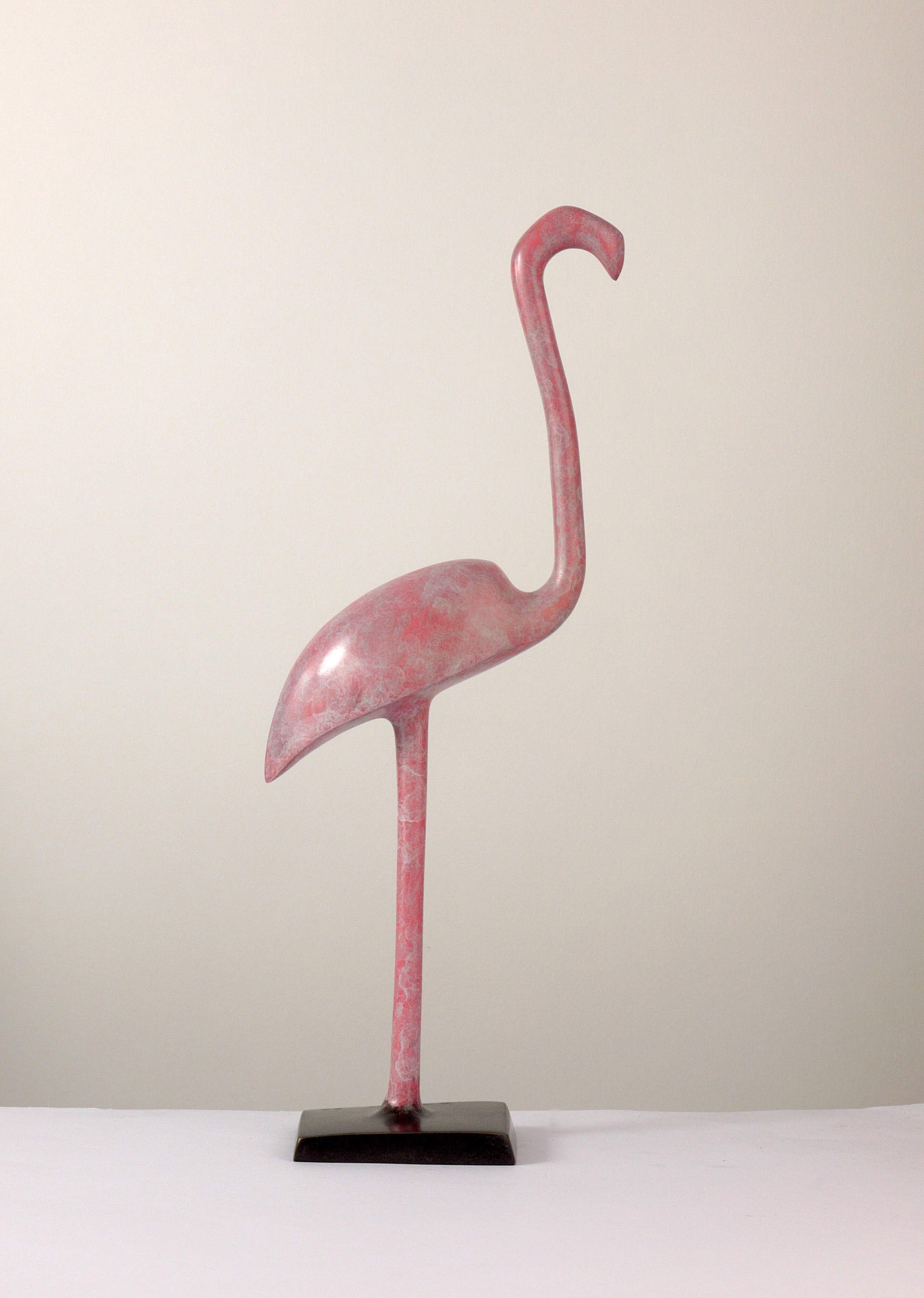 Flamingo by Stephen Page