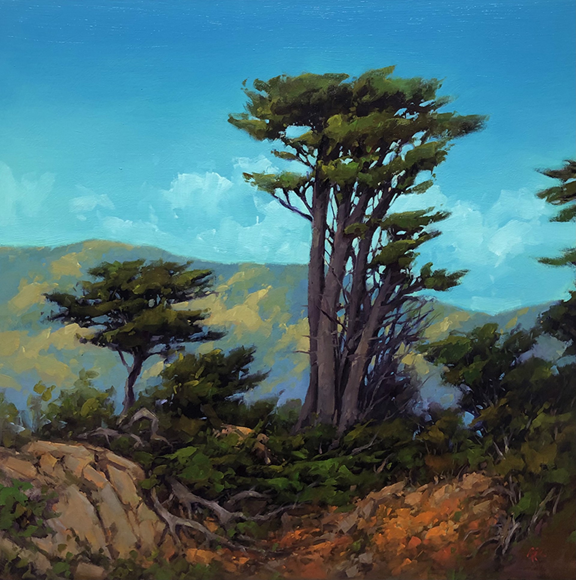 Point Lobos Stand by Gregory Stocks