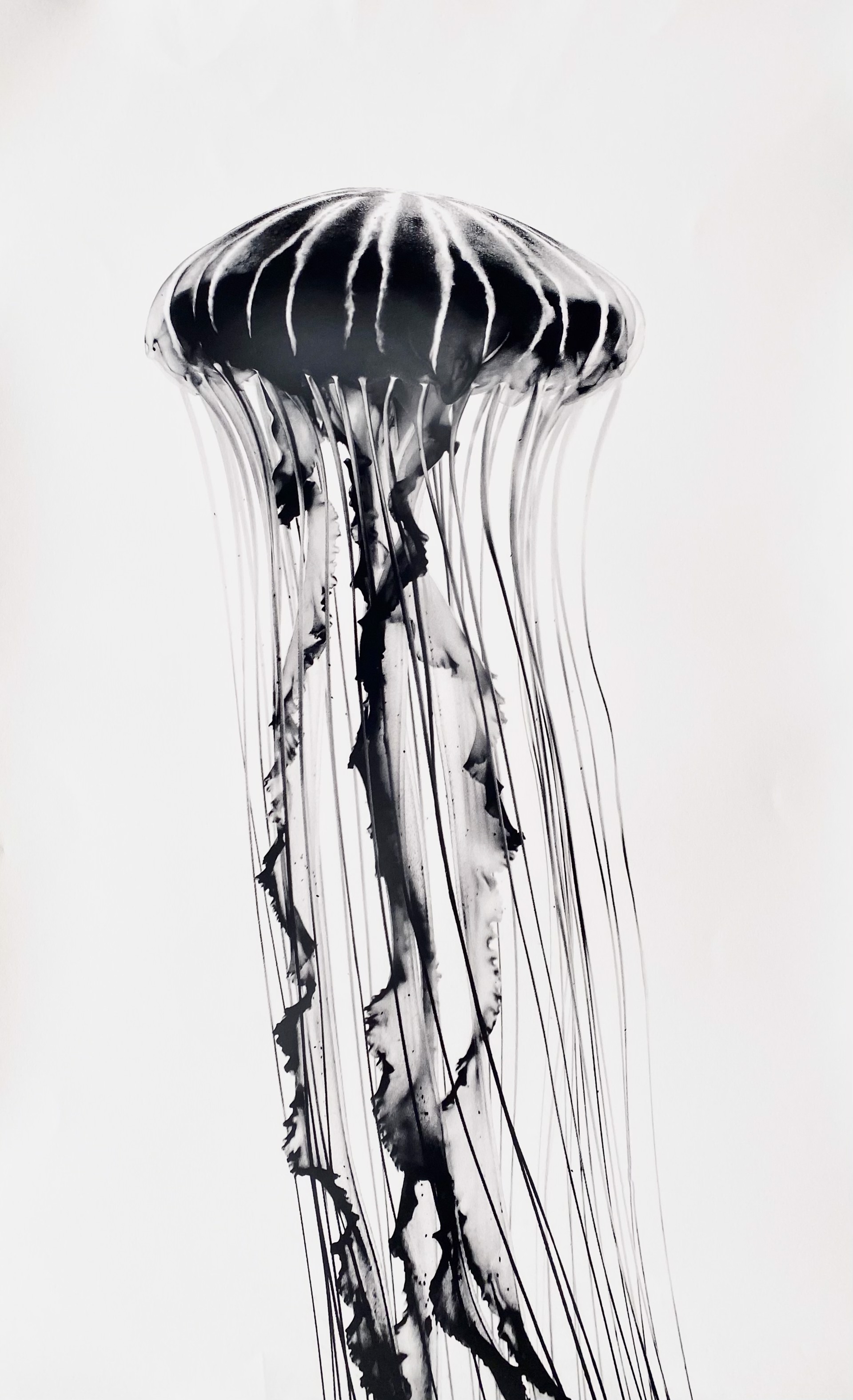 Drift Study, No. 3, Signed AP by Rebekah Phillips Webb