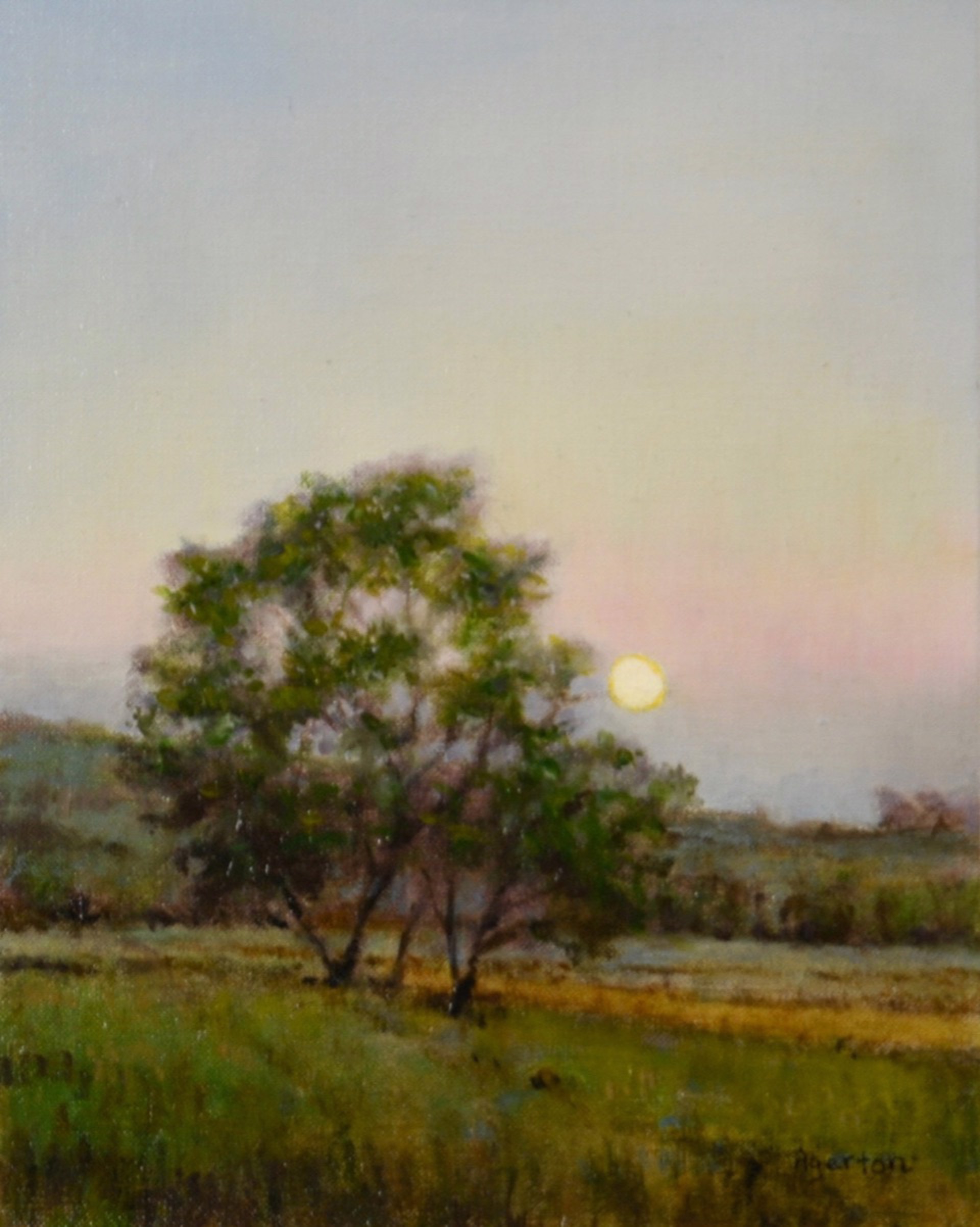 Hill Country Moon