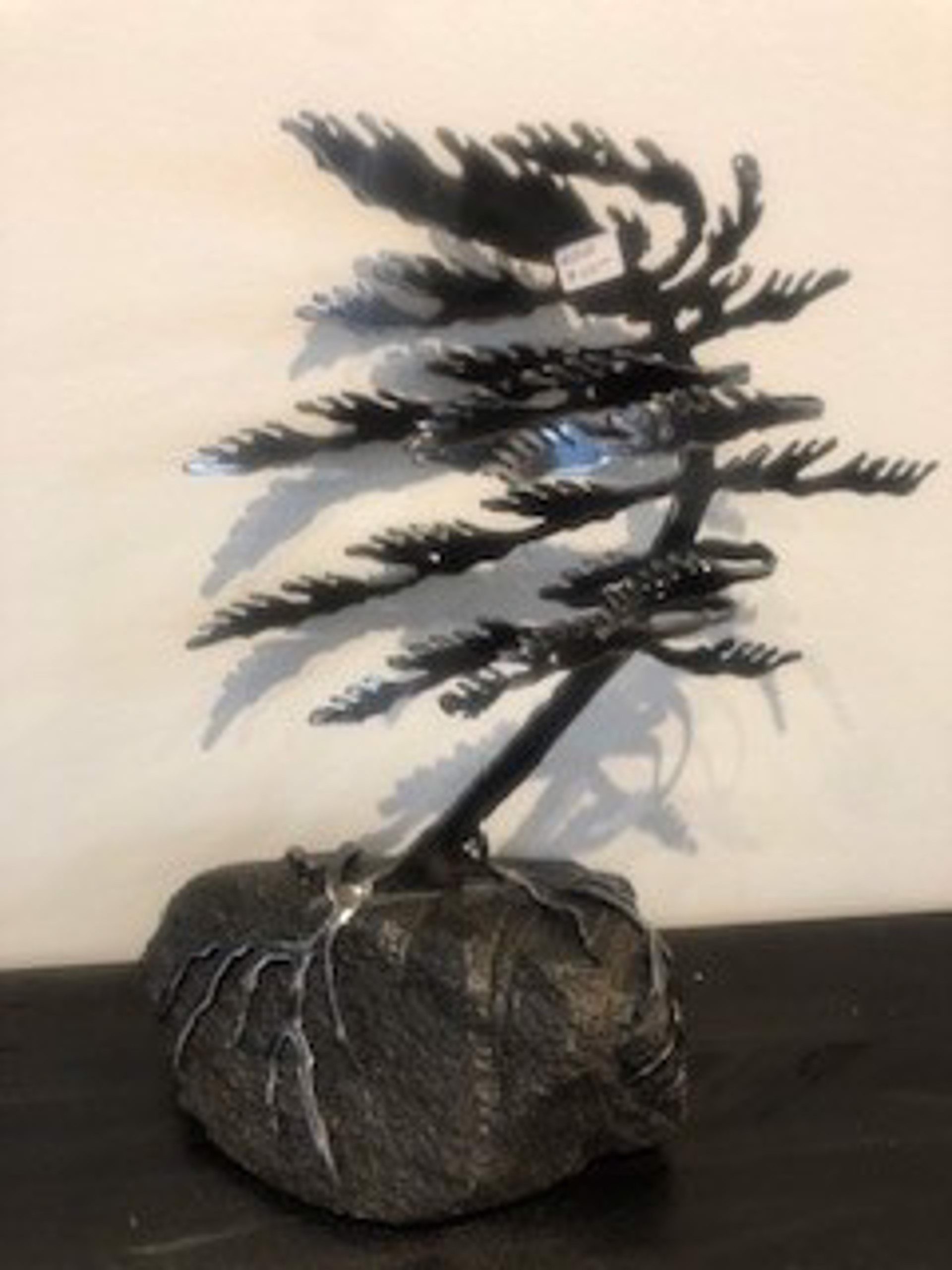Pine Tree on a Rock - #6308 by Cathy Mark