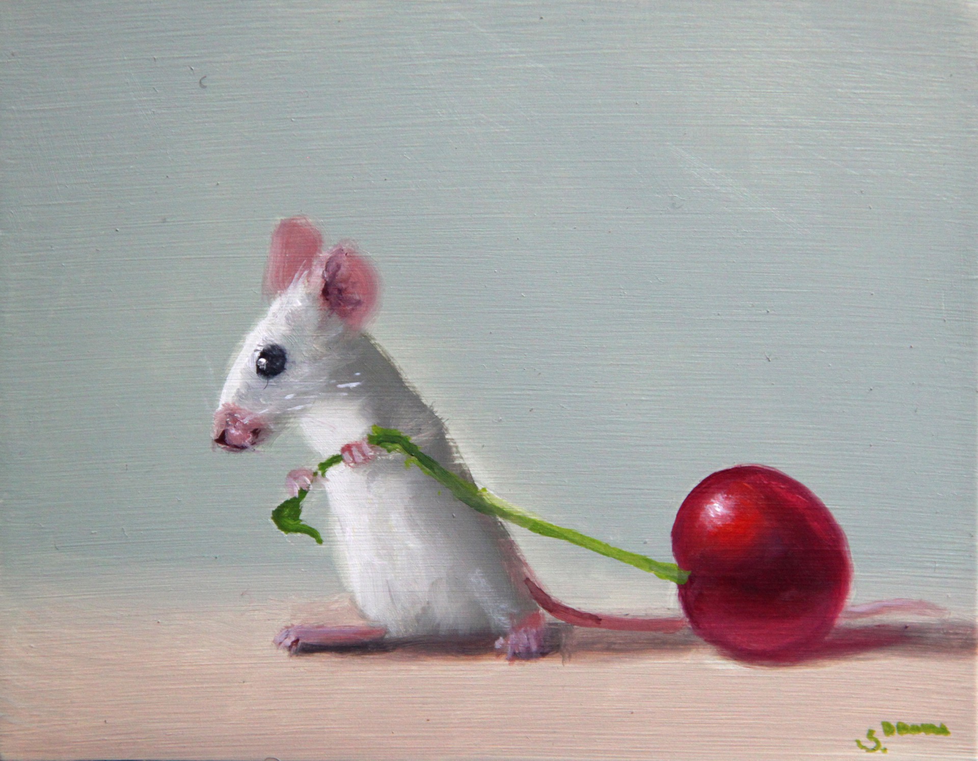 Cherry by Stuart Dunkel