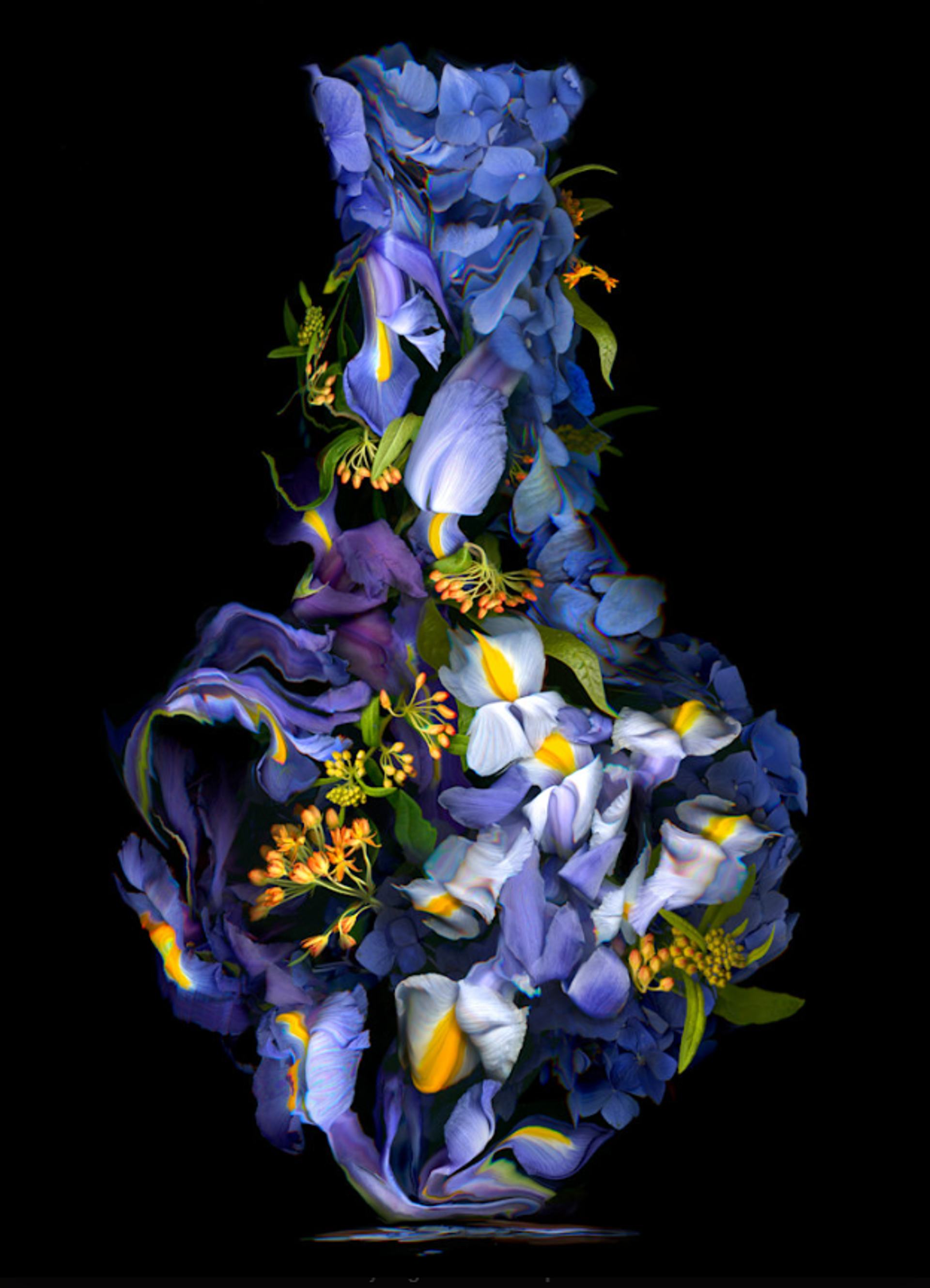 Iris Vase (1/5) by Kate Blacklock