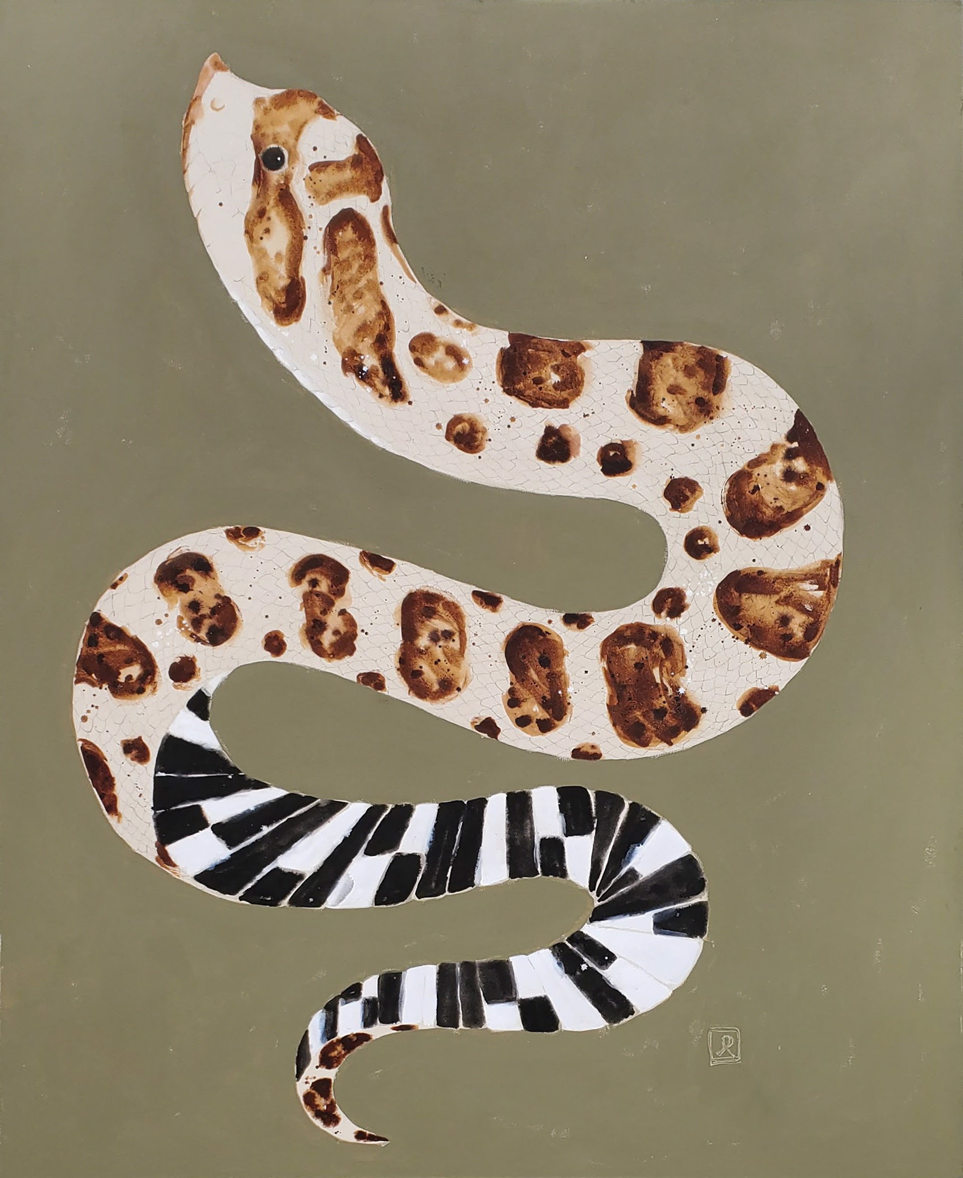 Hognose Snake by Laura Roebuck