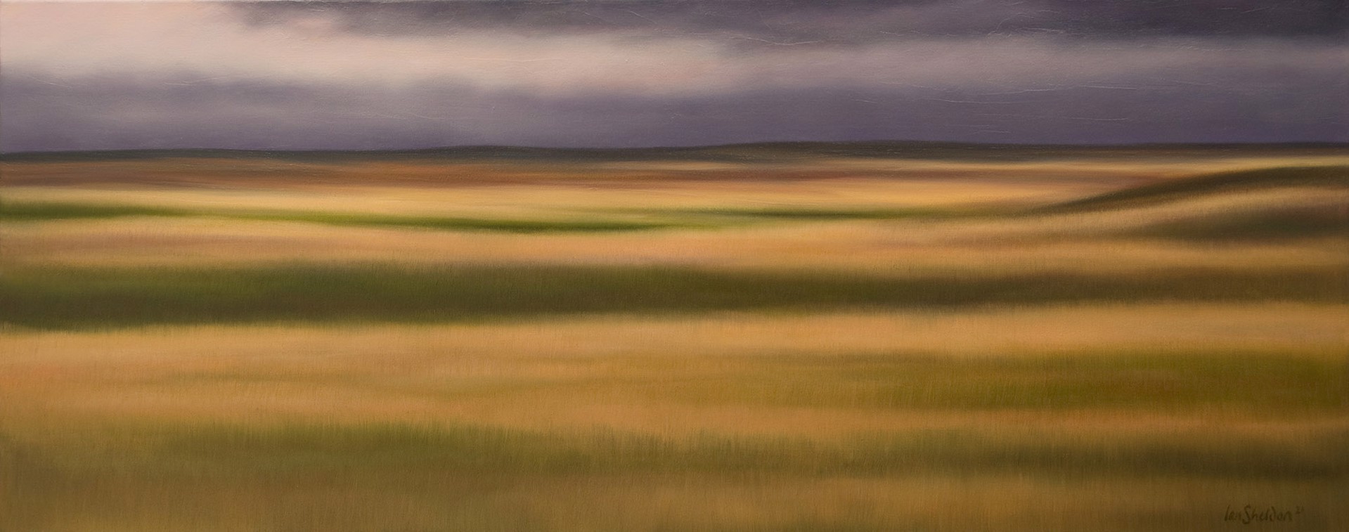 Big Prairie Palette by Ian Sheldon
