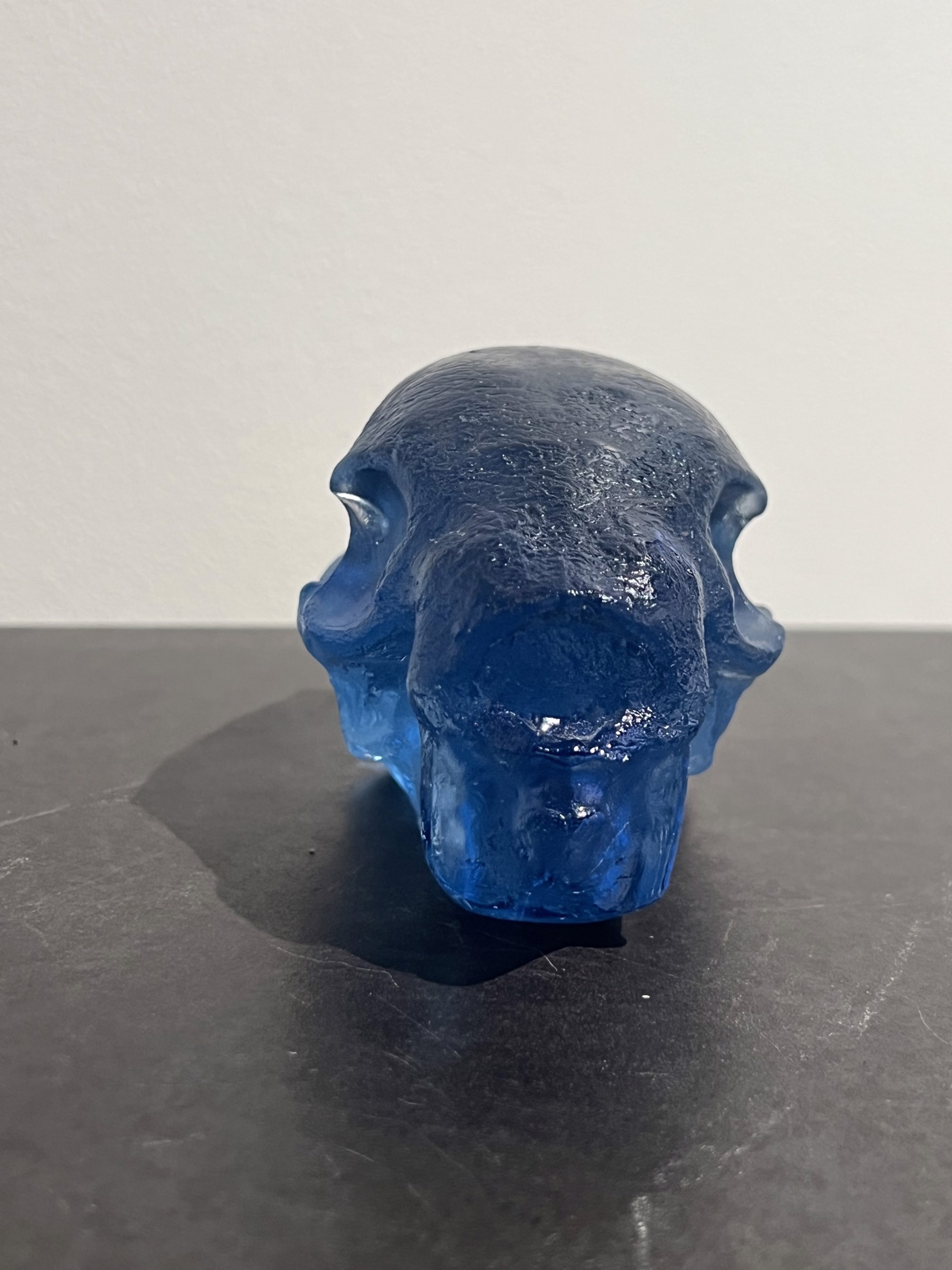 Sloth Skull / blue by PAUL NELSON