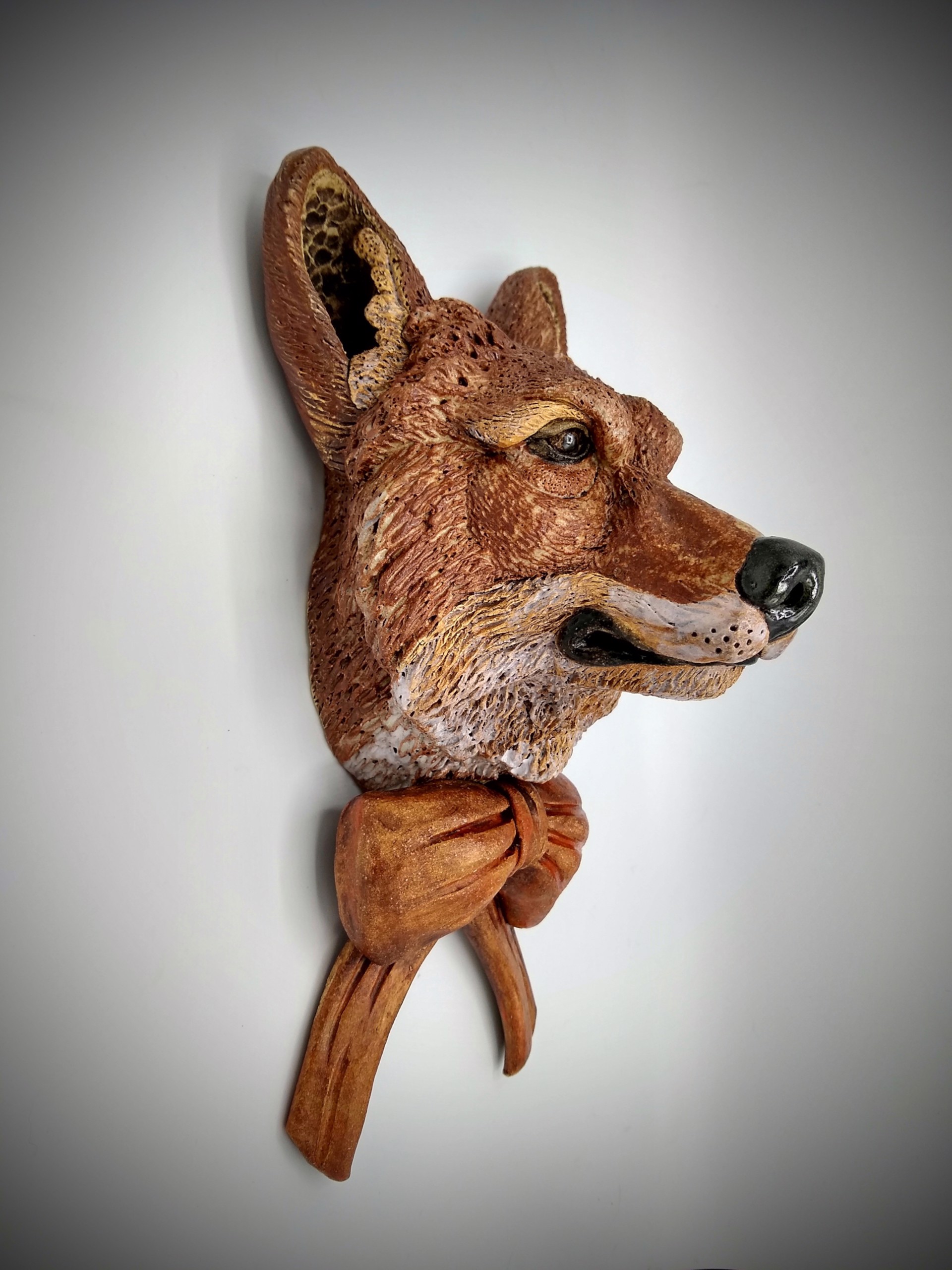 Dapper Fox by Cheryl Quintana