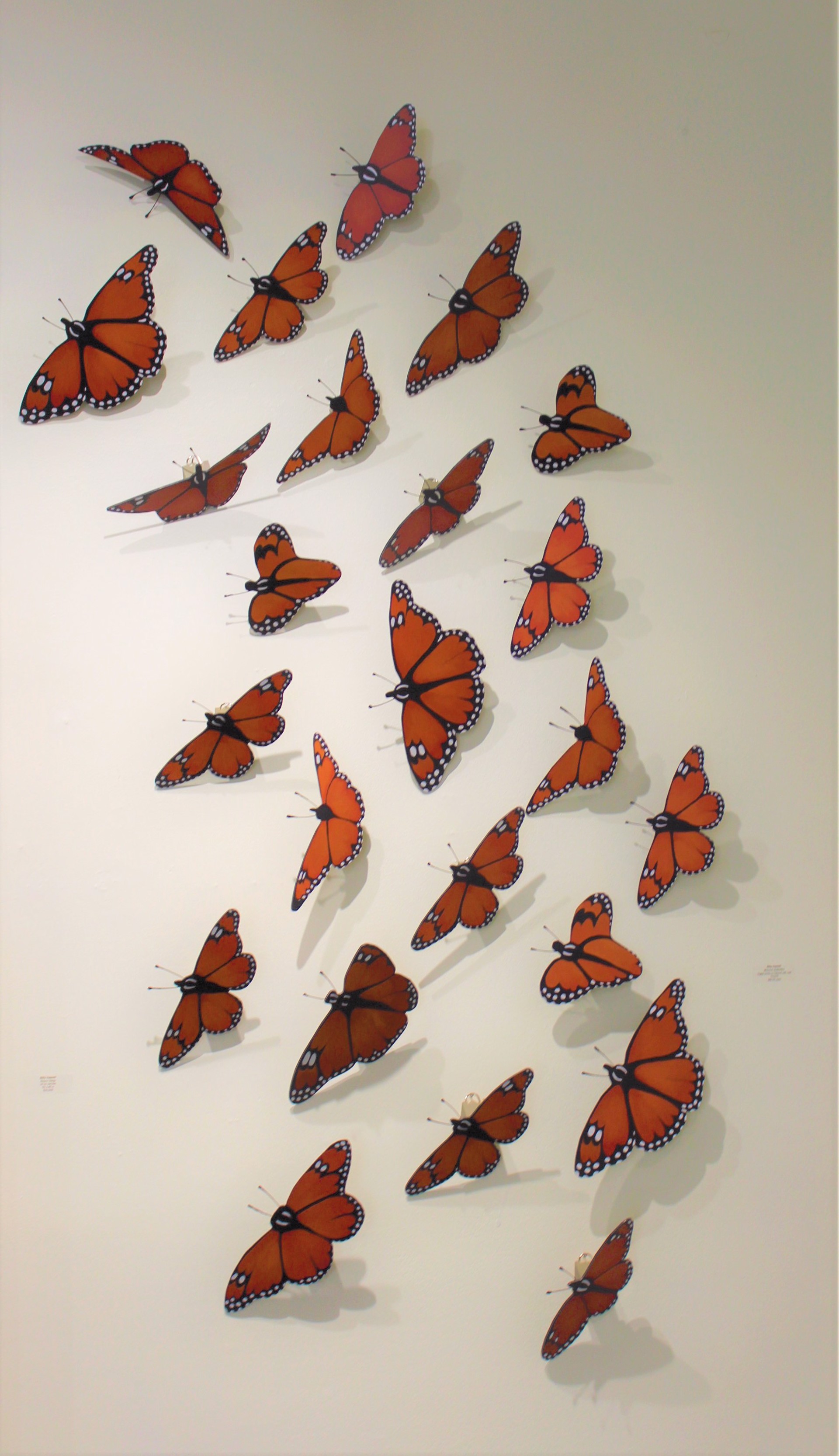 Monarch Butterflies (sold individually) by Billy Hassell