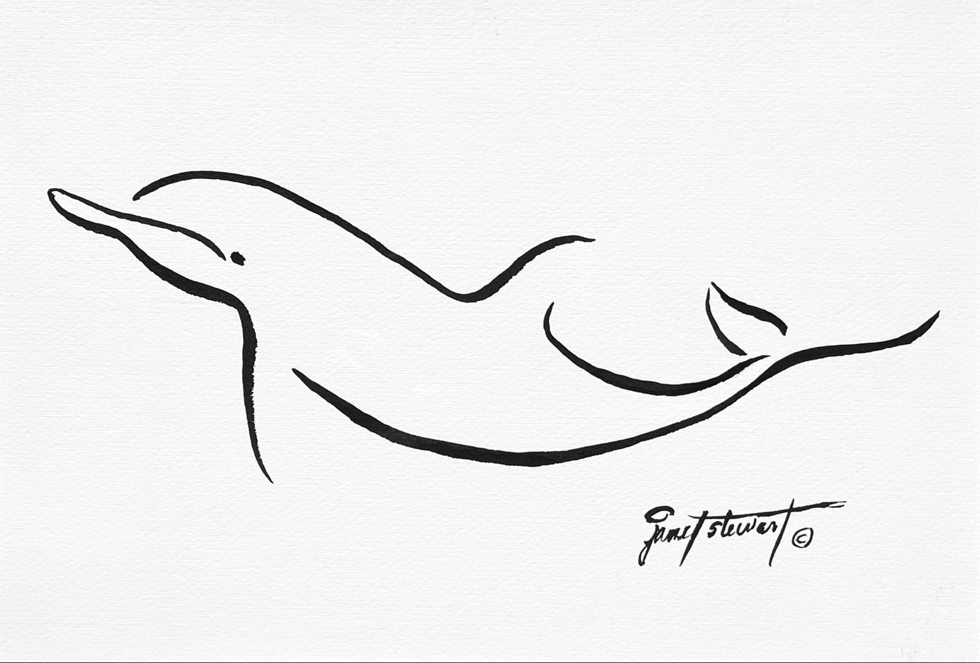 Smiling Dolphin by Janet Stewart