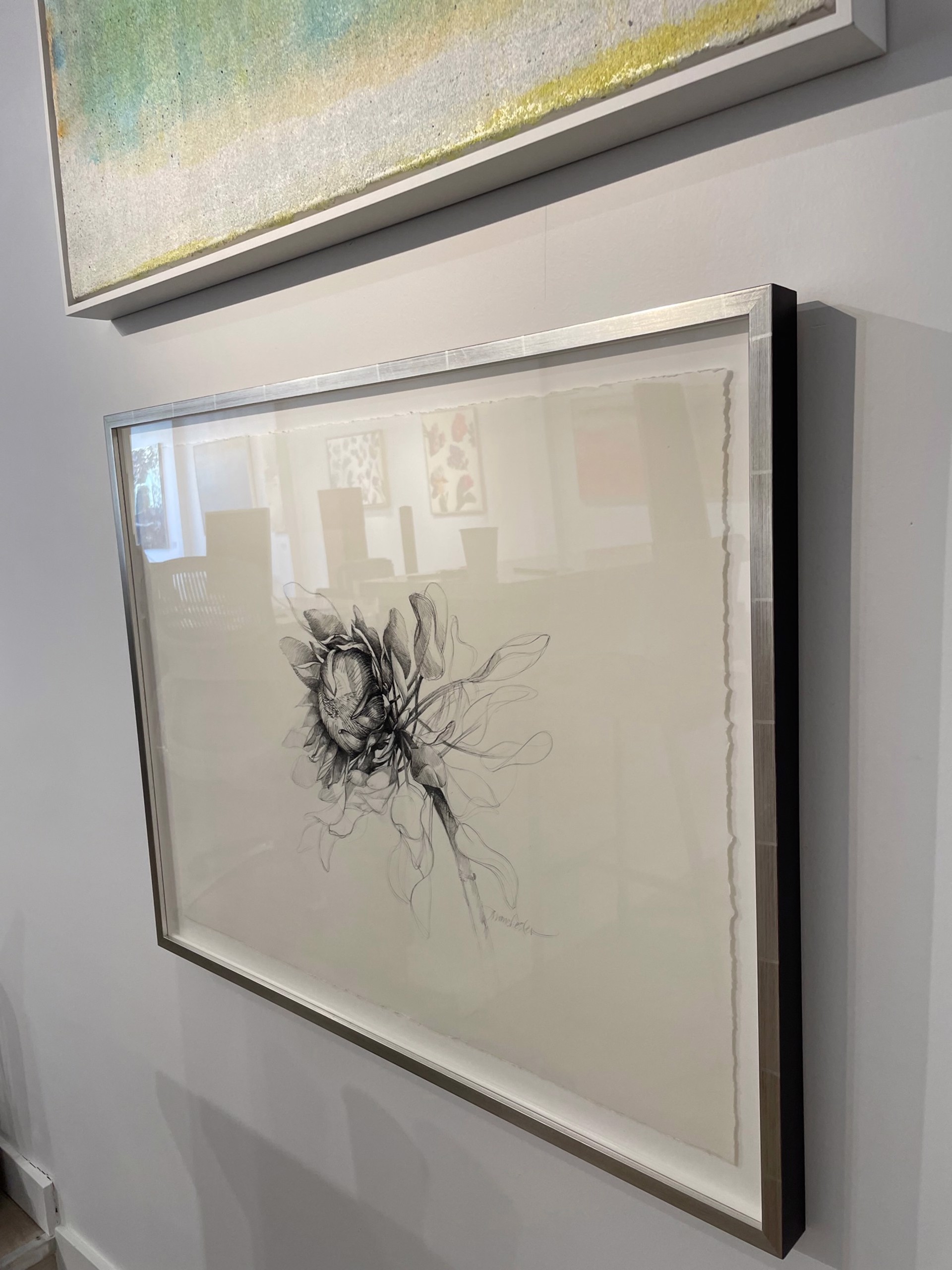 Fiori: Queen Protea (framed white gold) by Susan Manchester