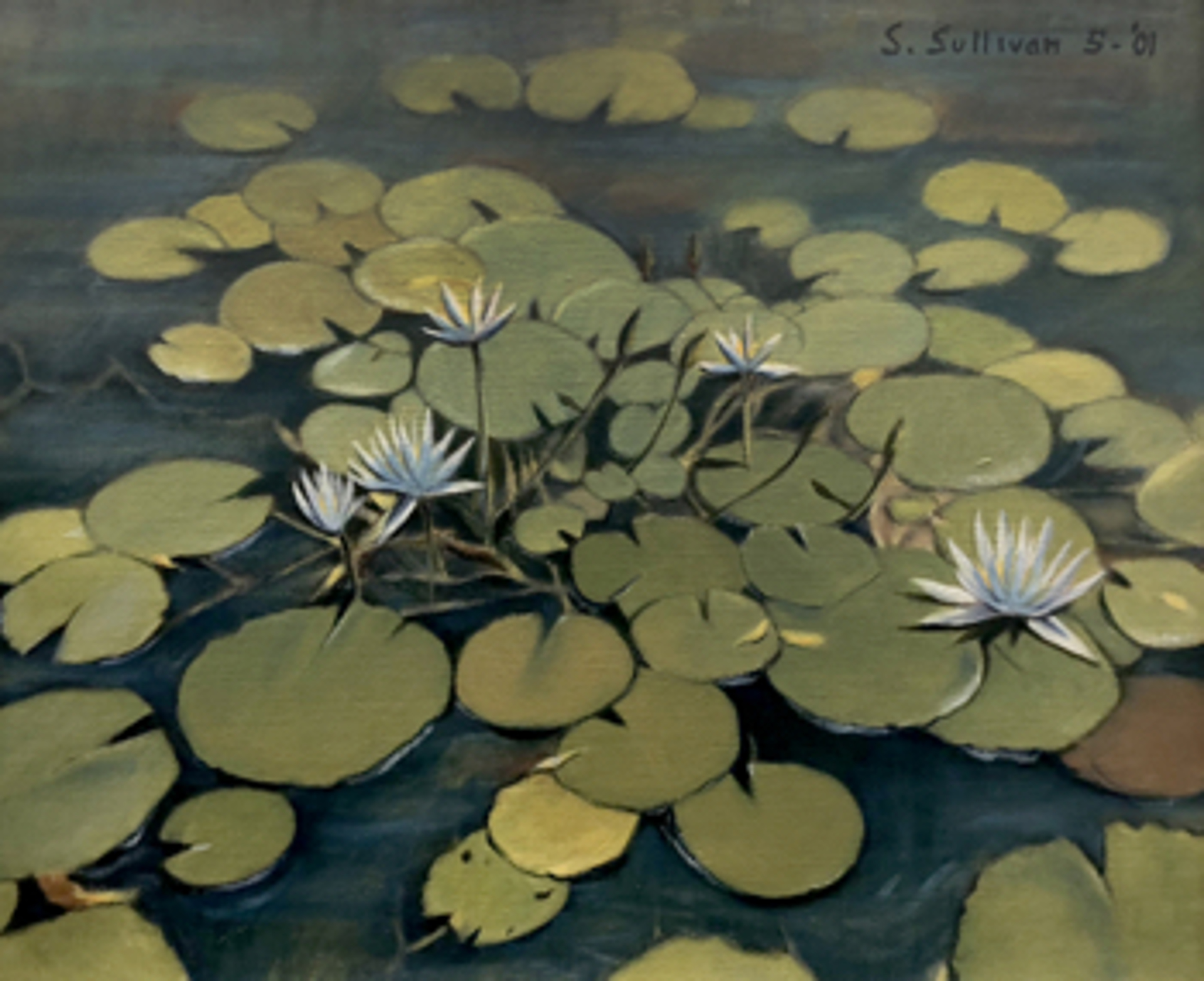 Waterlillies by Stella Sullivan