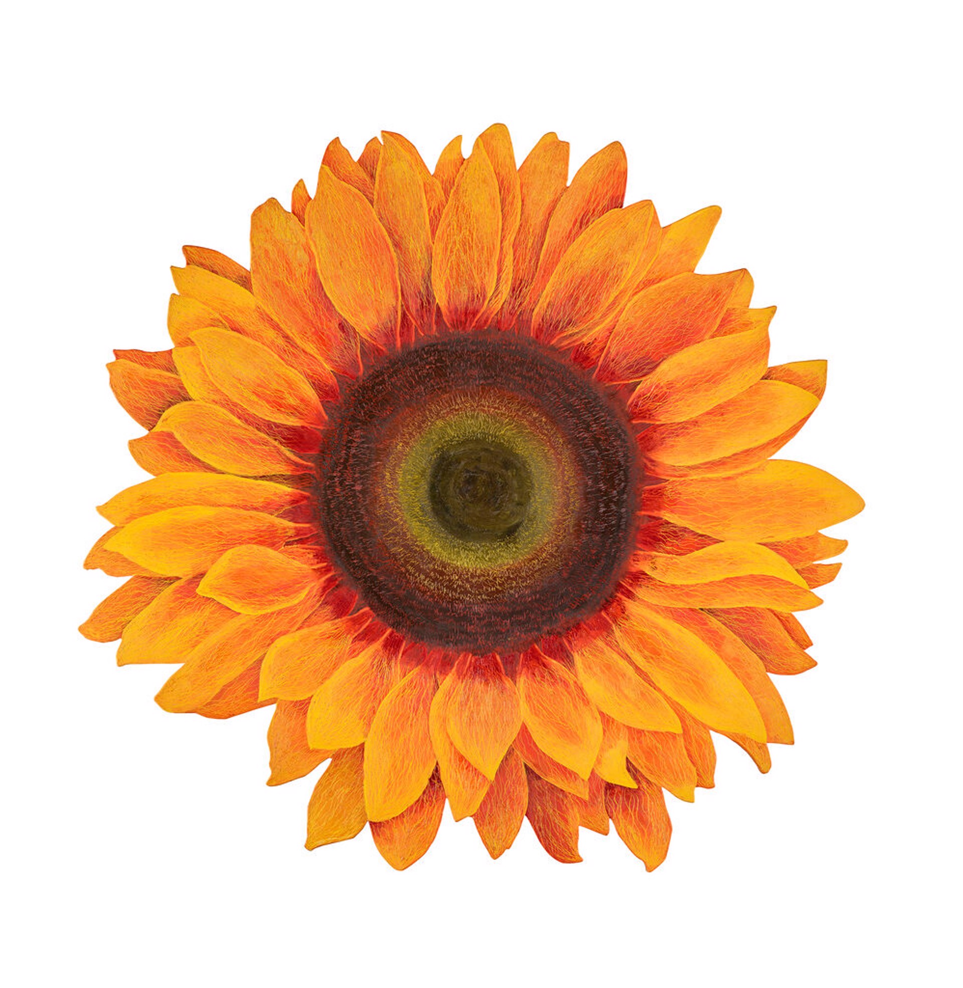 Sunflower III by Leigh Wen