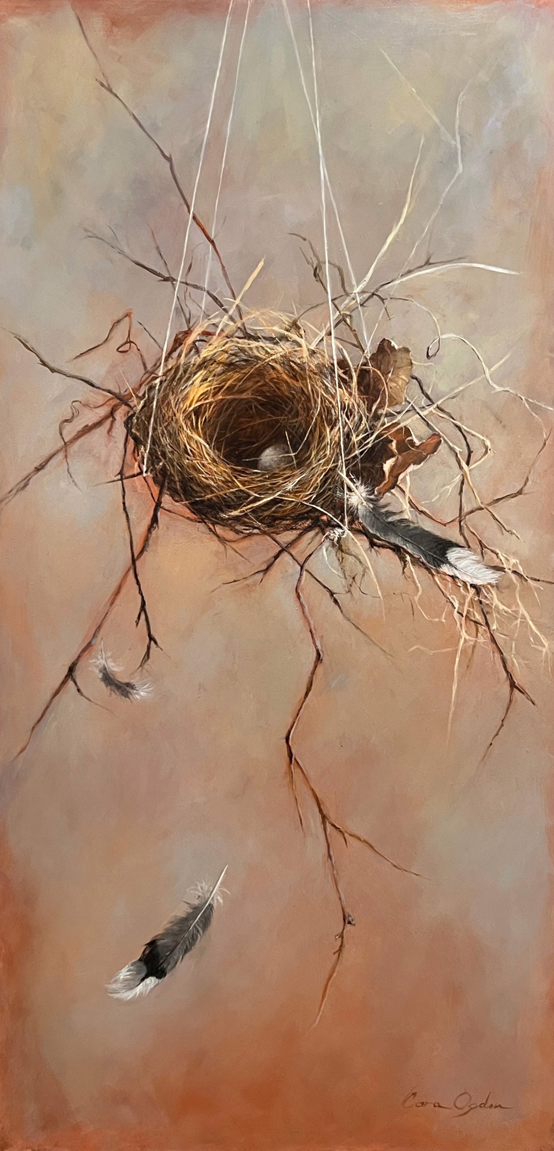 Fallen Feathers by Cora Ogden