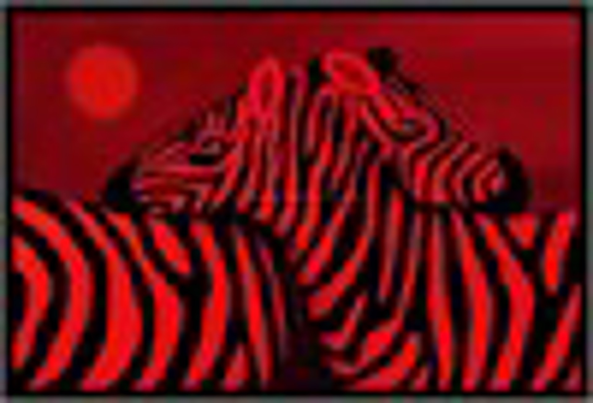 Two Red Zebras -  Medium Canvas $2200 by Carole LaRoche