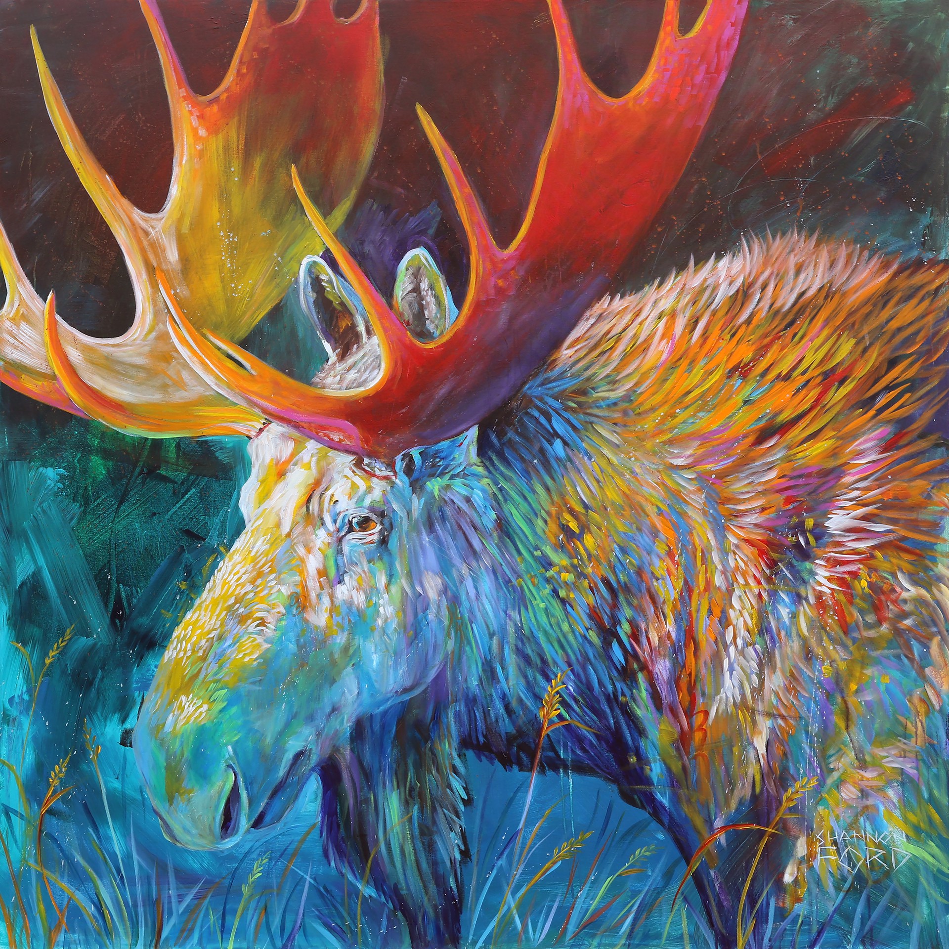 Glorious Bull Moose by Shannon Ford