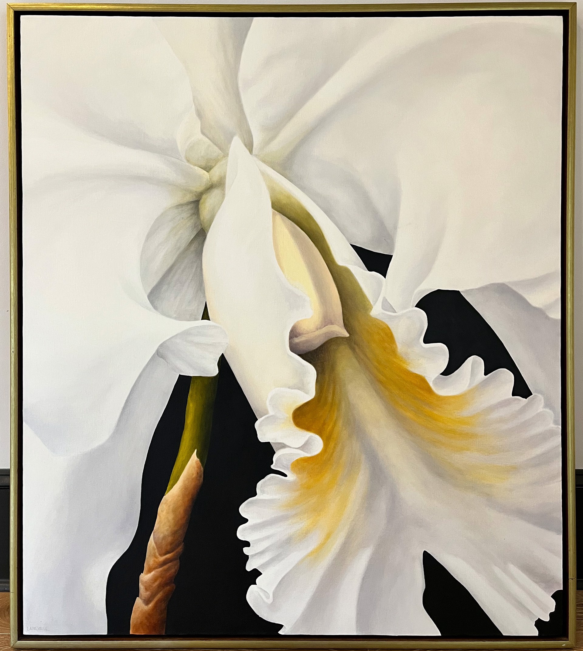 White Orchid by Lyda Laneville