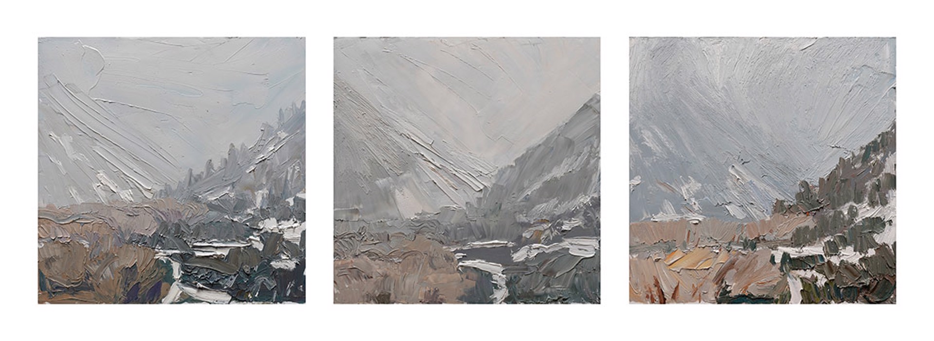 Storm in the Canyon (triptych) by Jivan Lee