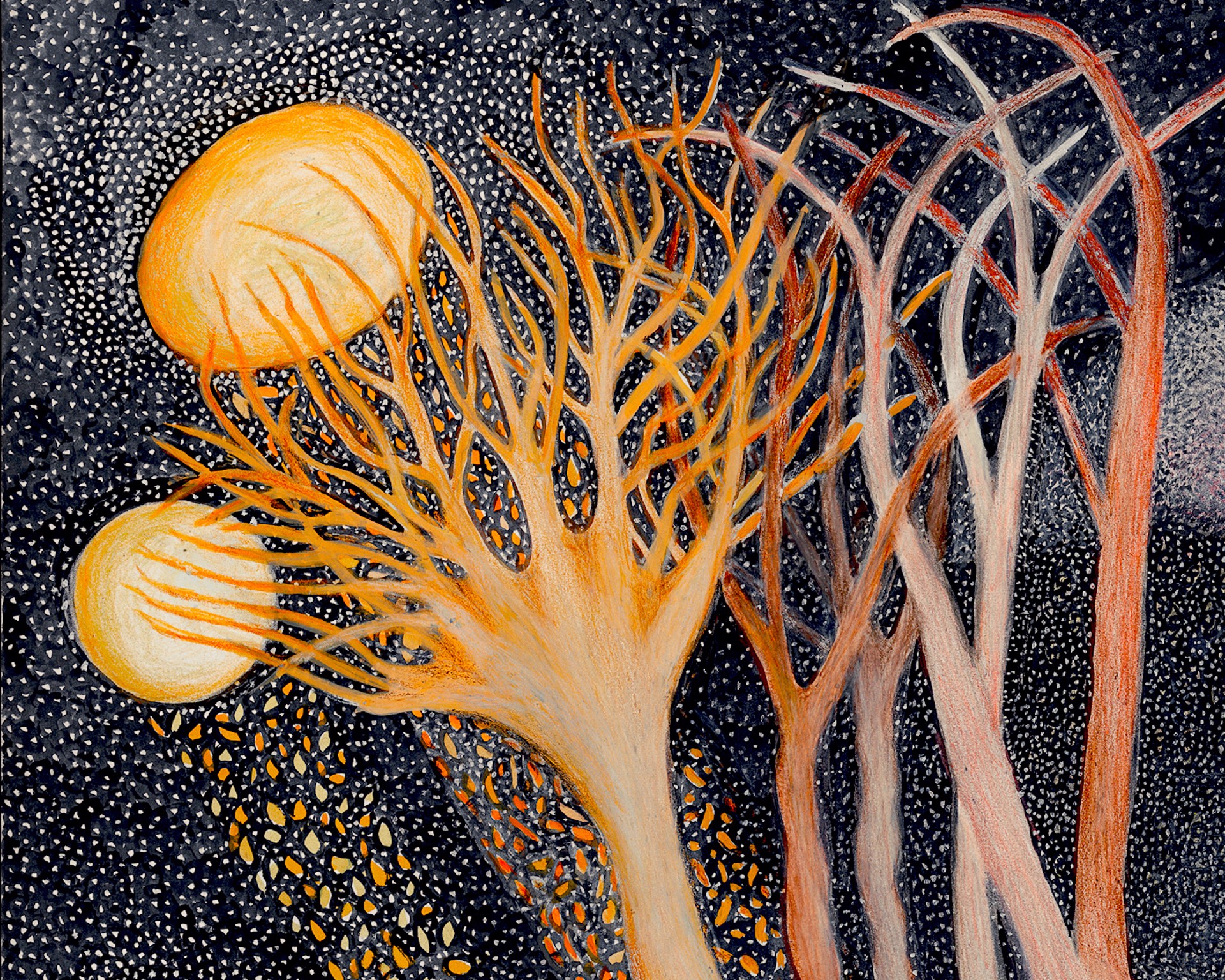 Five Moons and a Sun by Ann Leda Shapiro