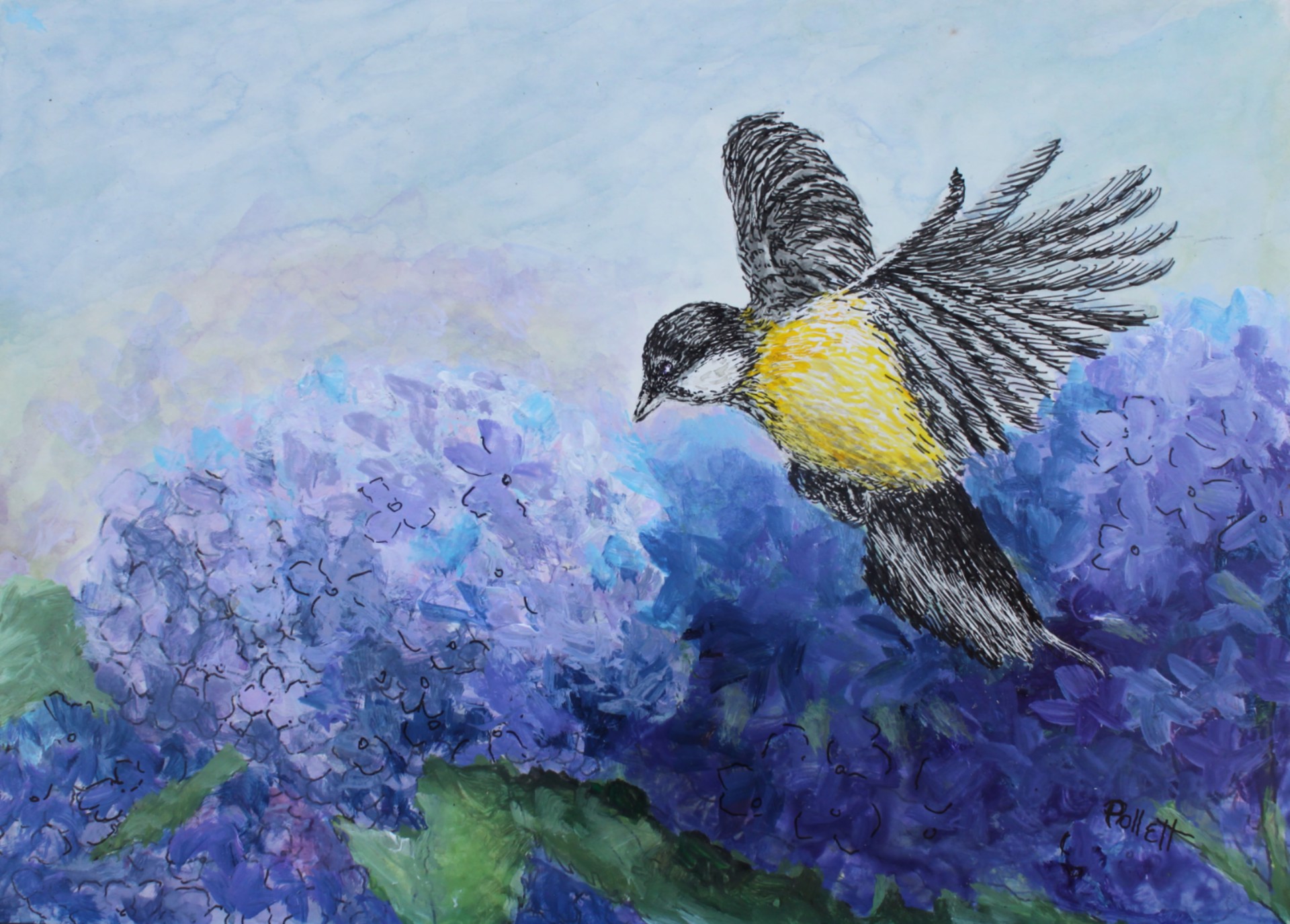 Great Tit with Hydrangea by Cynthia Jewell Pollett