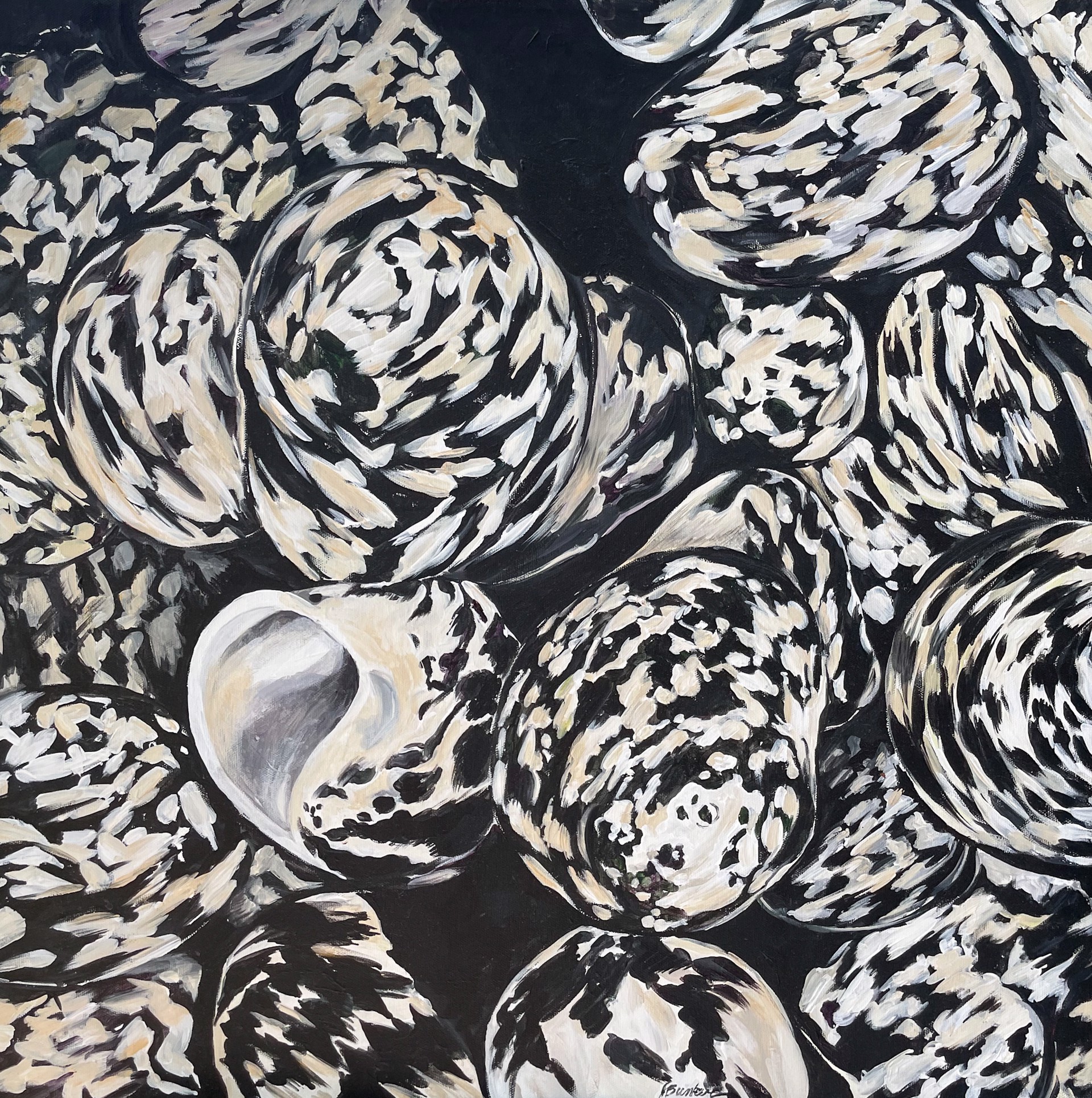 Bin of Shells  II - Turbots by John Bunker