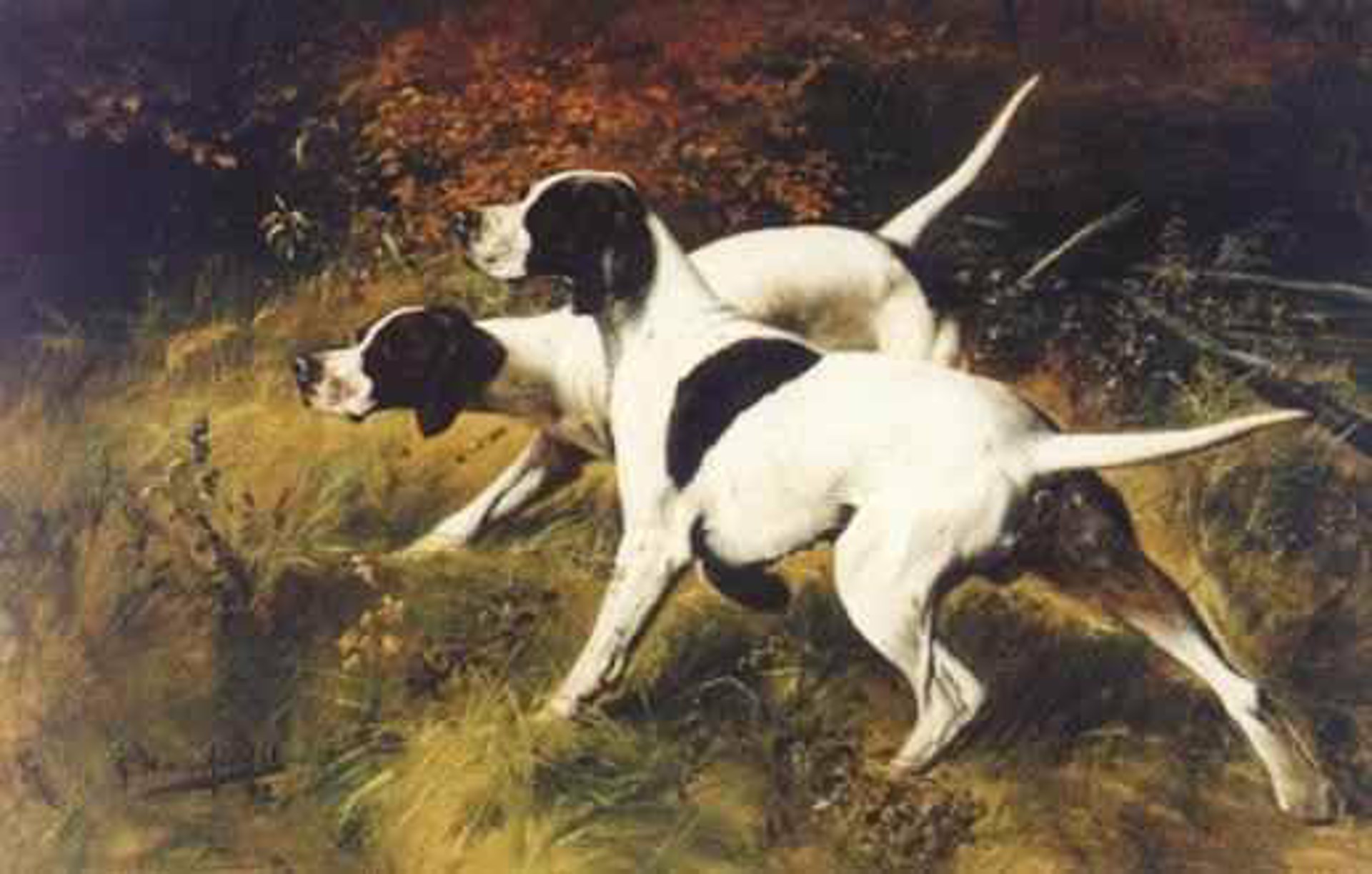 Pointers in a Landscape by Gustave Muss-Arnolt