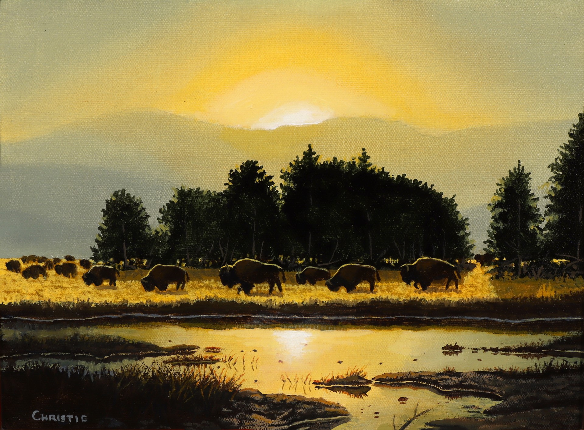 Yellowstone Morning by Reid Christie