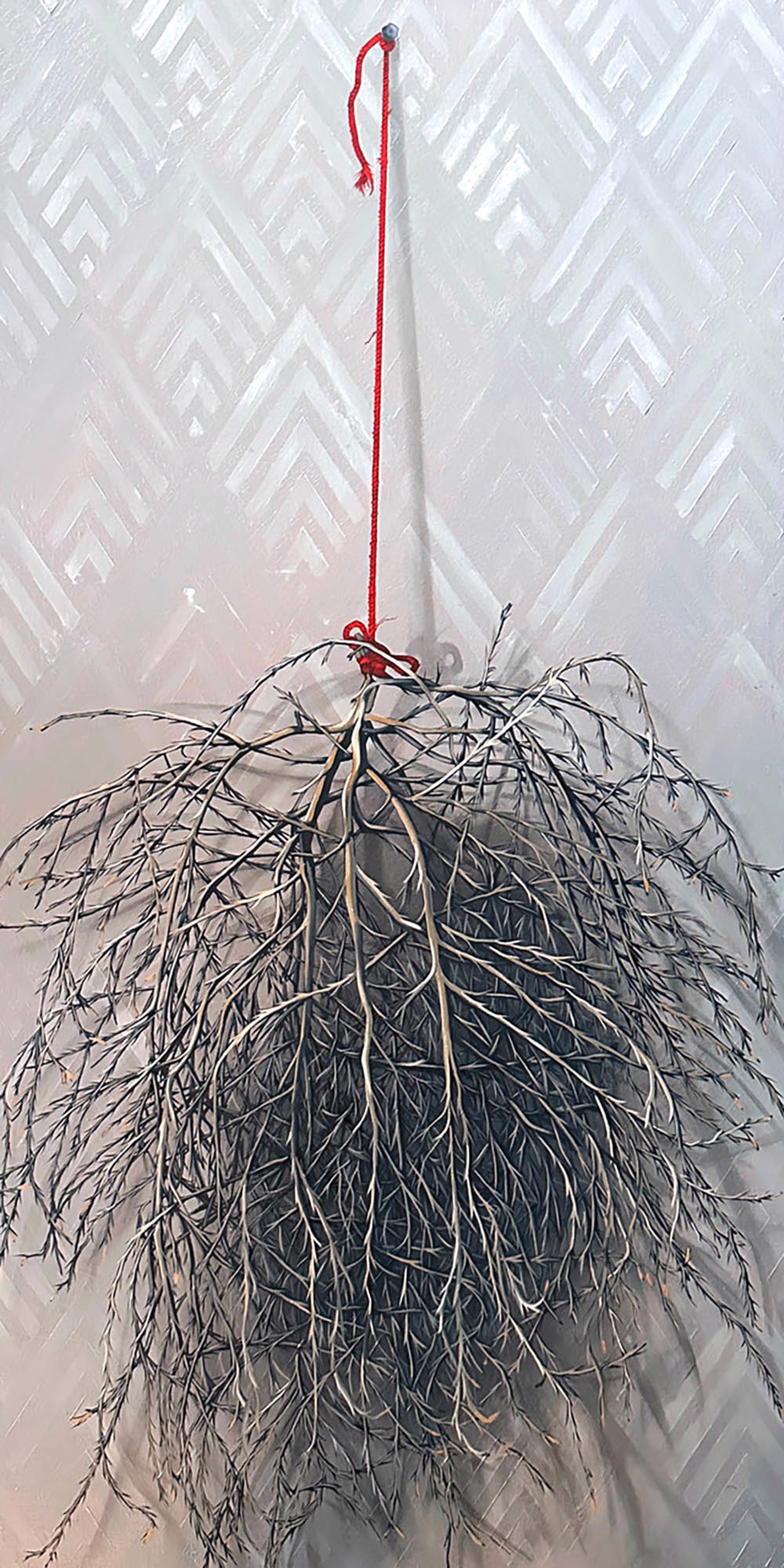 Original Painting by Christy Stallop Featuring a Tumbleweed Hanging on a Printed Background