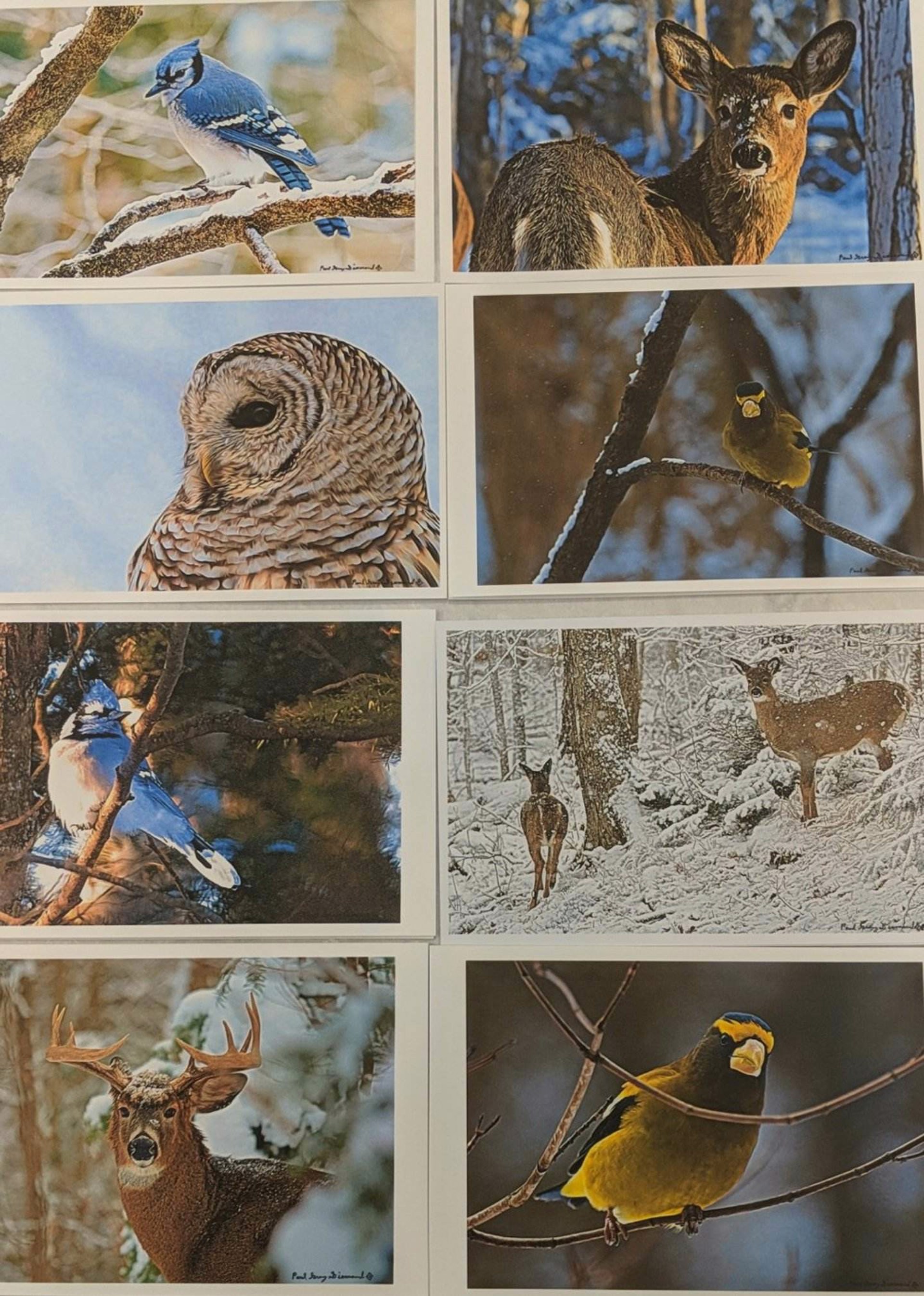 Single Greeting Cards by Paul Gray Diamond
