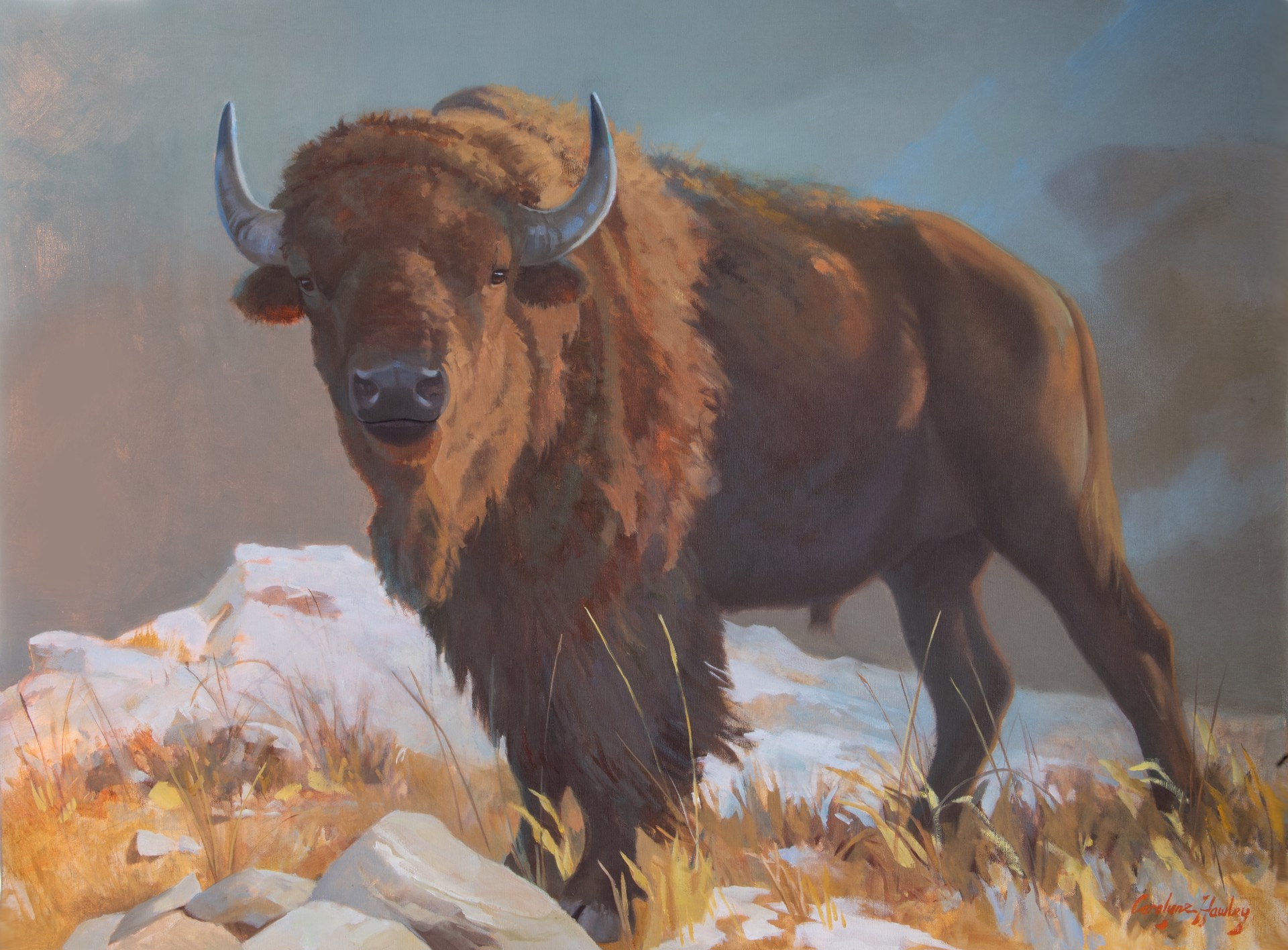 Buffalo Power by Carolyne Hawley