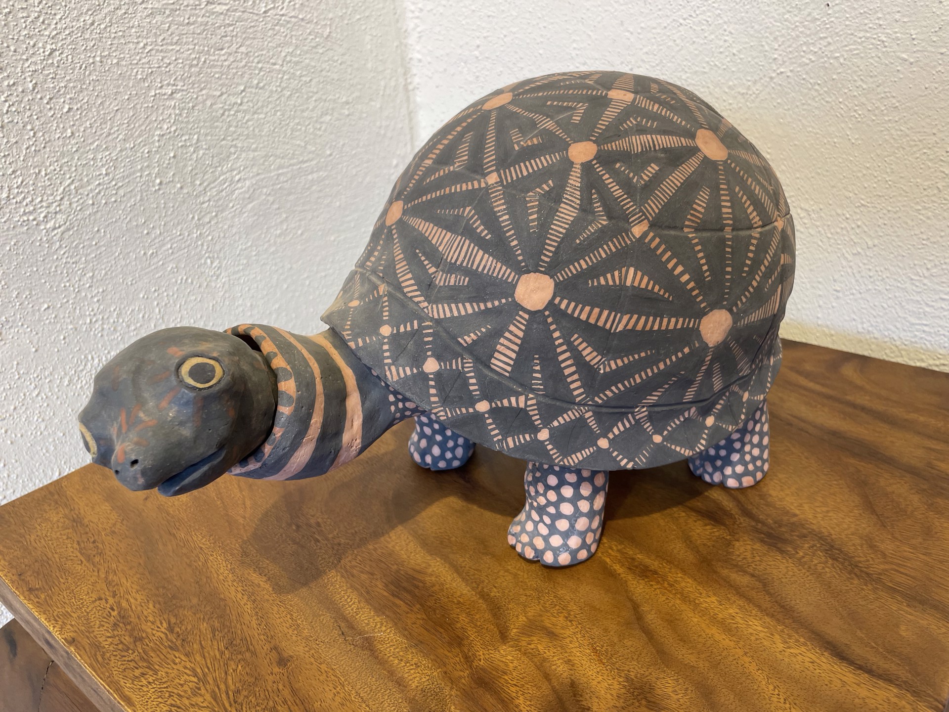 1721 Turtle by Molly Heizer