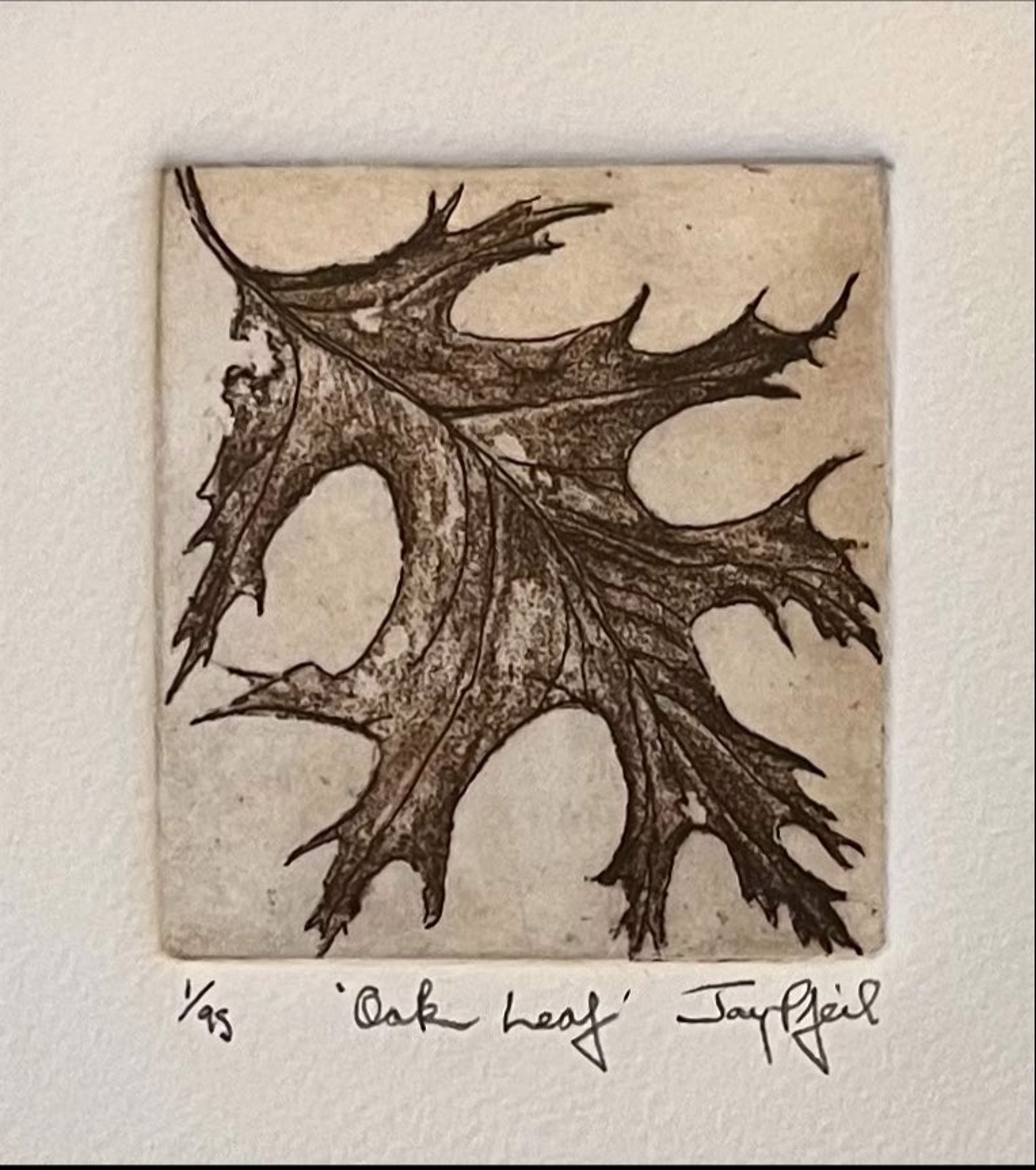 Oak Leaf by Jay Pfeil