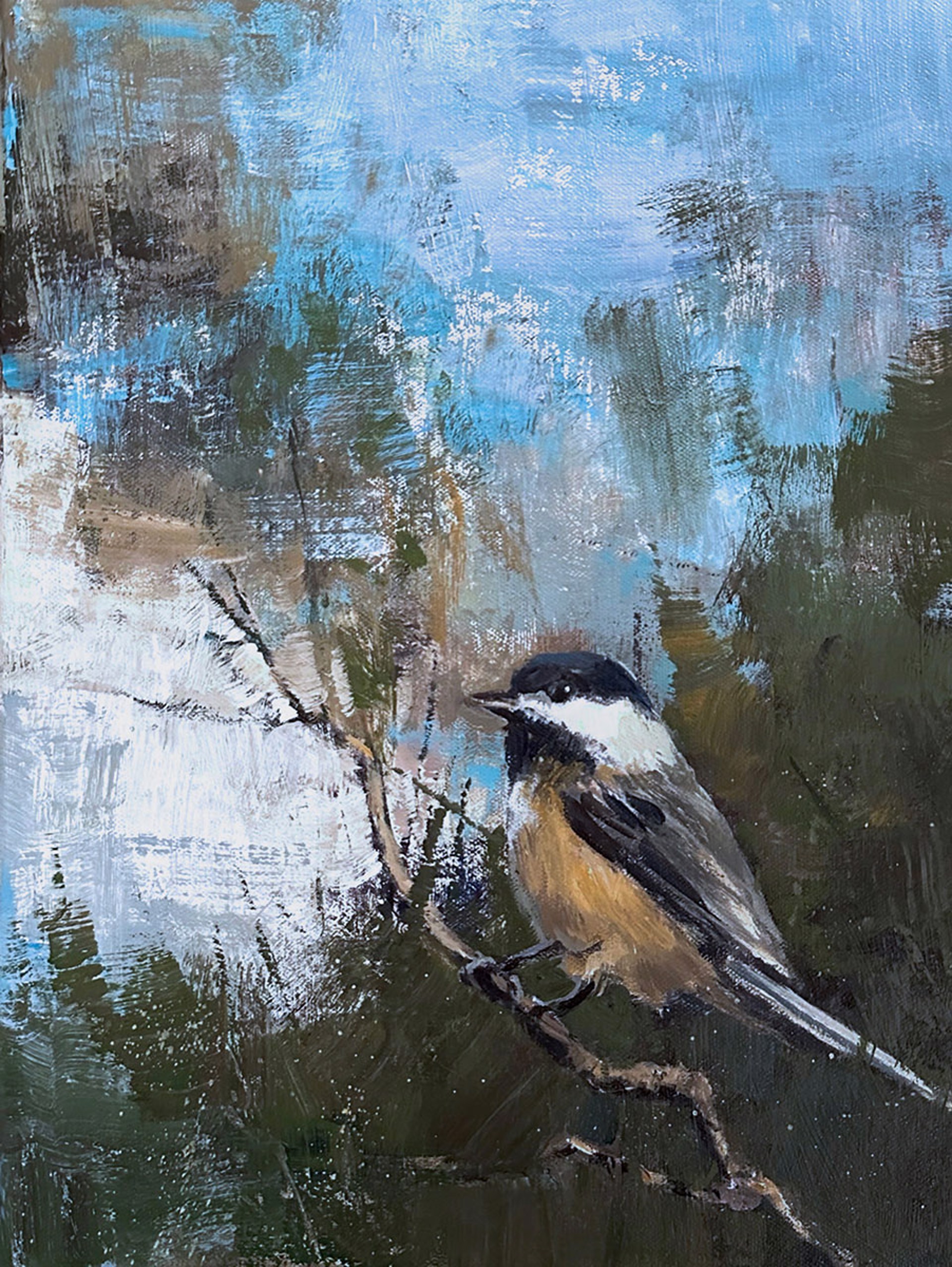 Mountain-Chickadee by Perry Brown