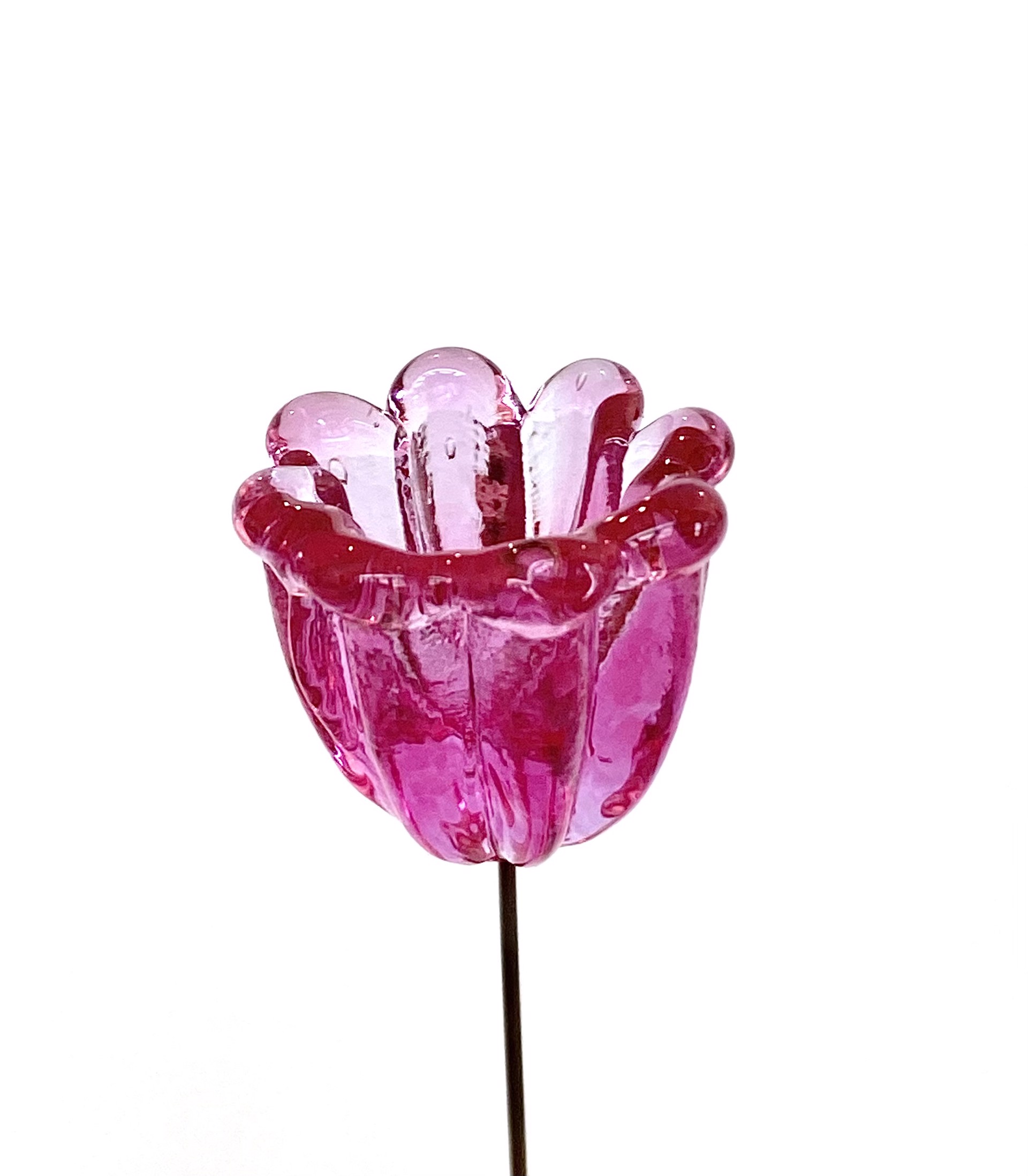 Glass Deep Pink Bud Flower by Emelie Hebert