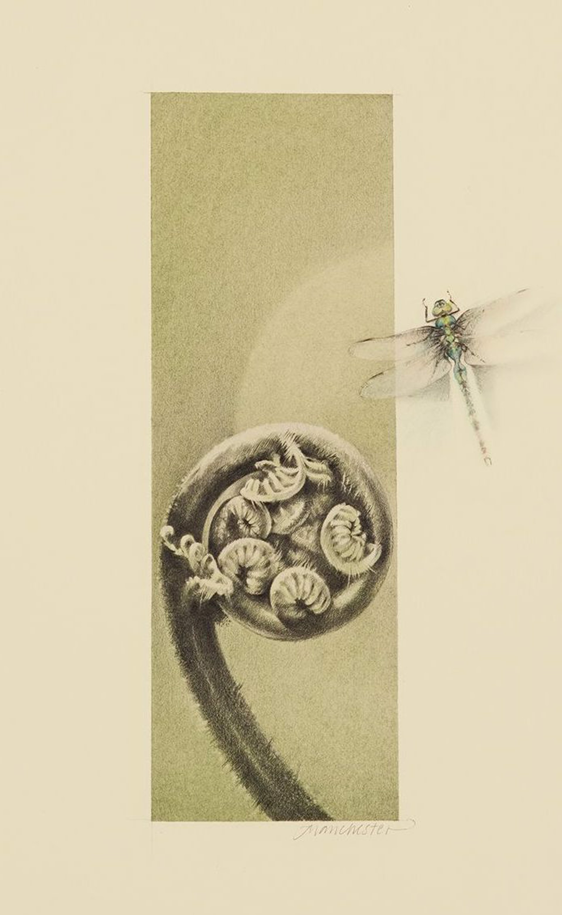 Garden Views #4, fiddlehead fern with Dragonfly by Susan Manchester