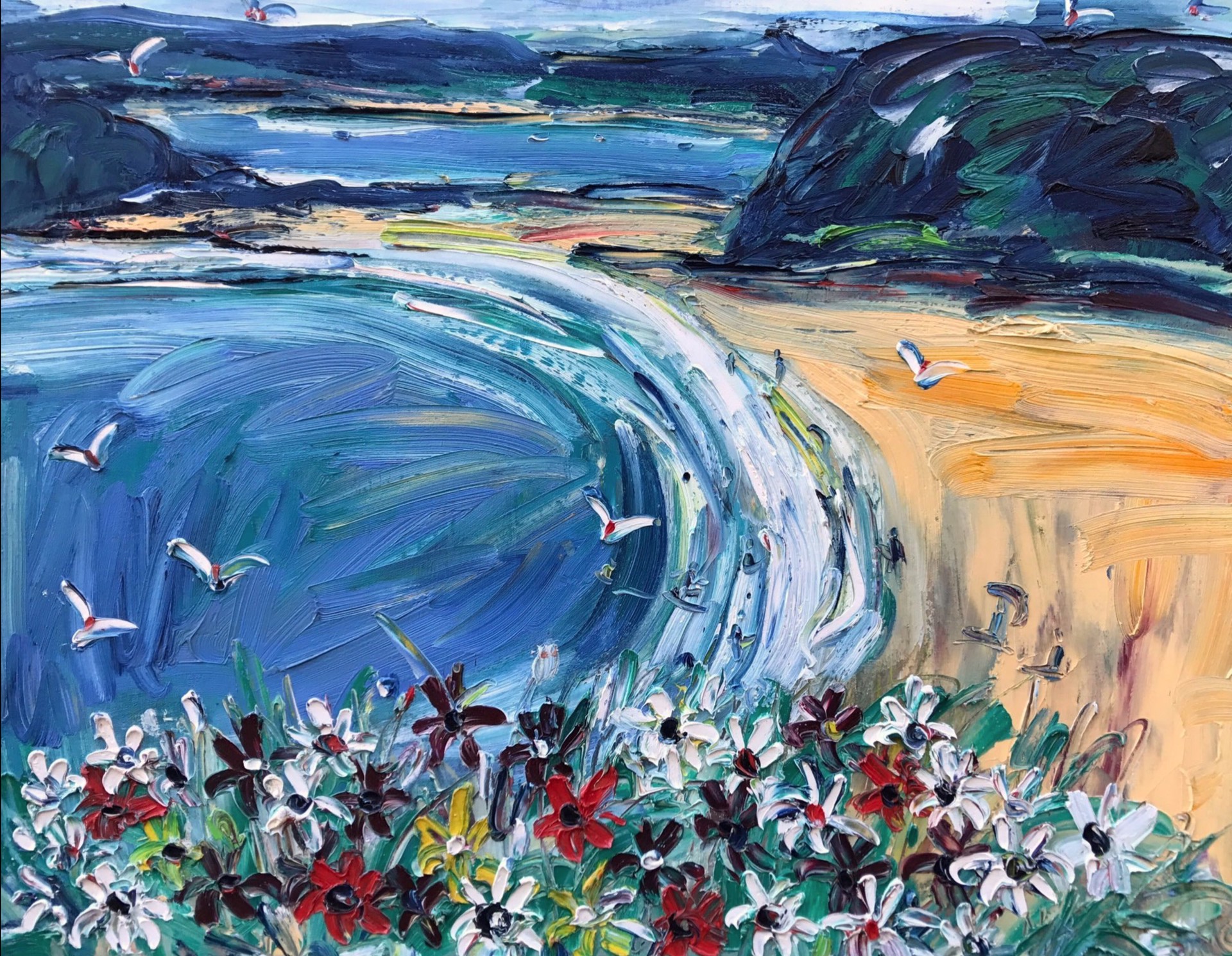 South Coast Beach Daisies by Nada Herman